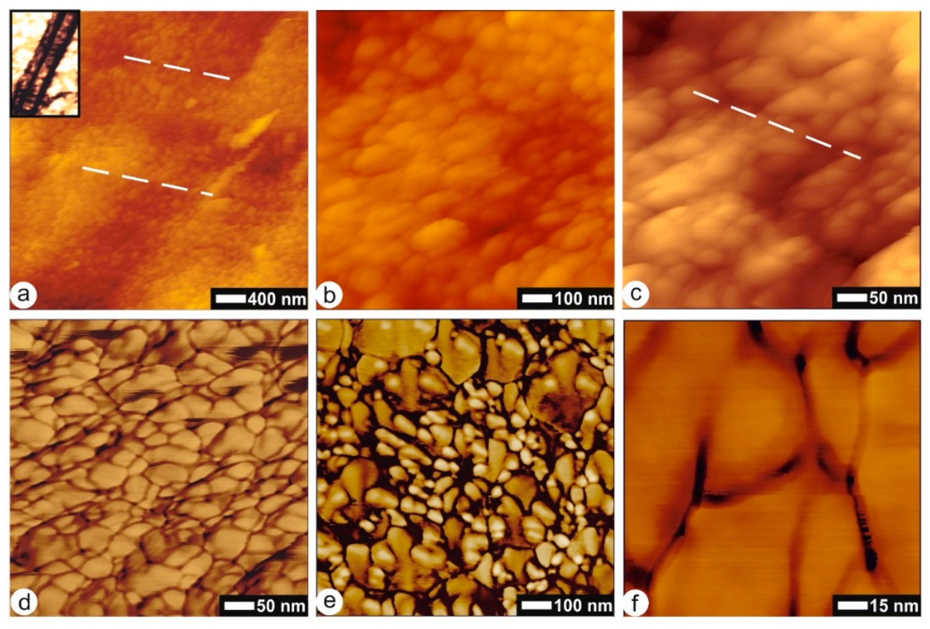 Minerals Free Full Text The Prismatic Layer Of Pinna A Showcase Of Methodological Problems And Preconceived Hypotheses