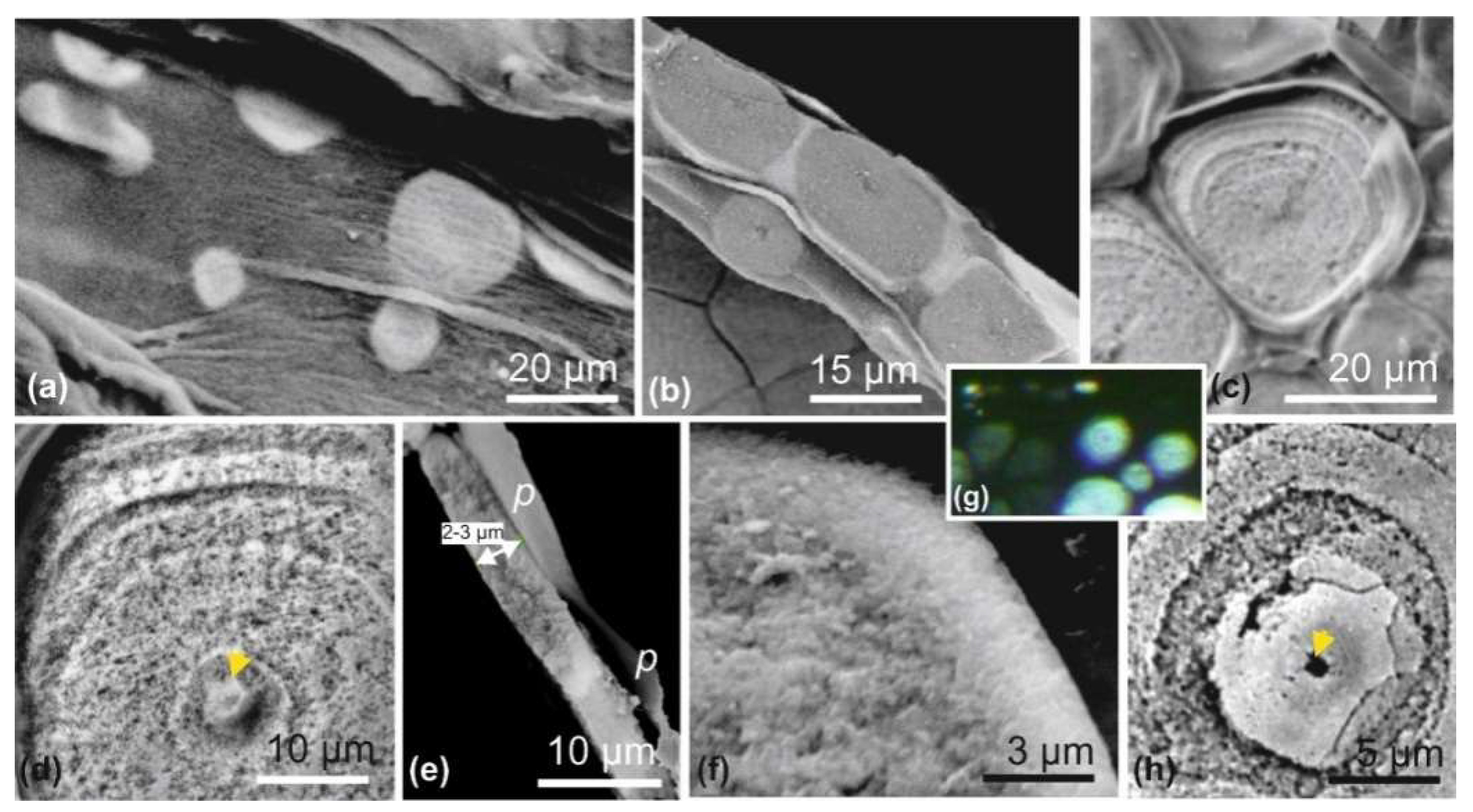 Minerals 08 00370 g003