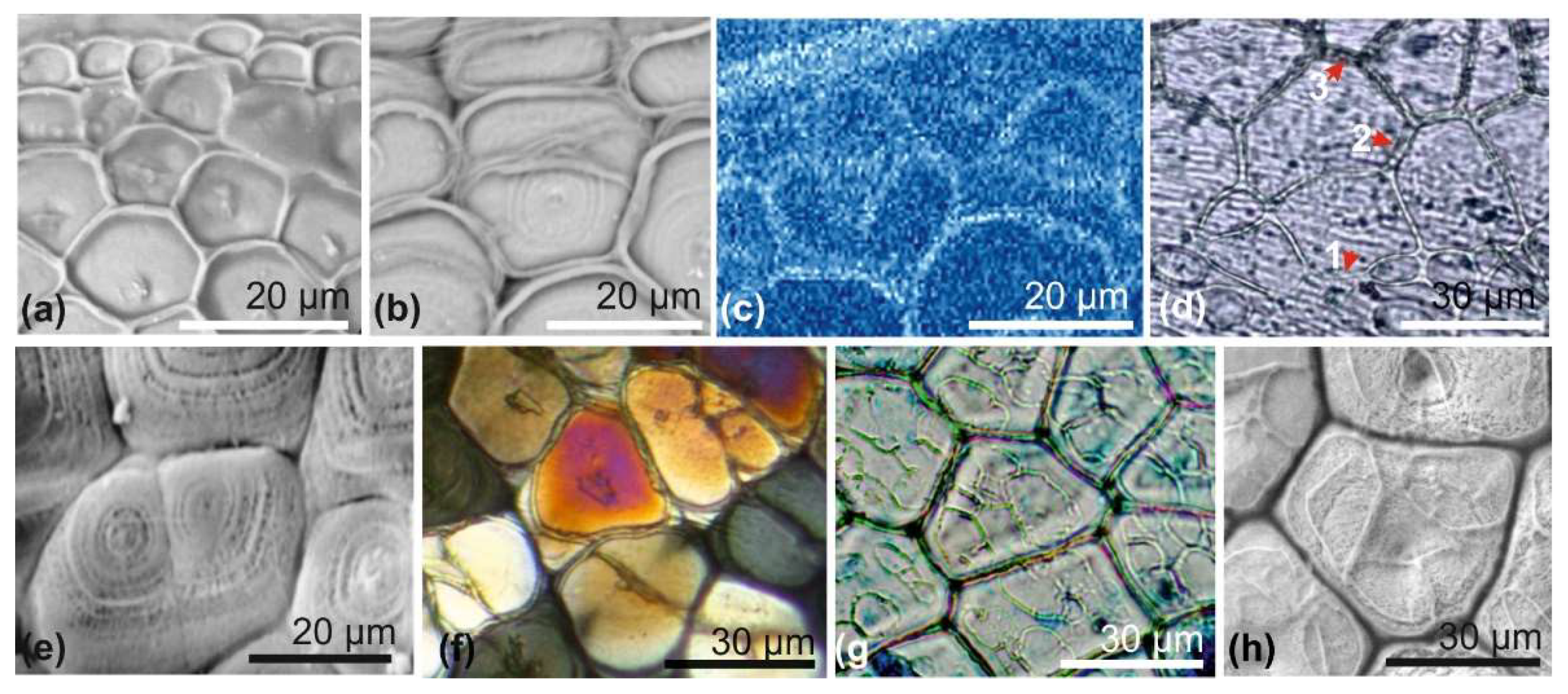 Minerals 08 00370 g004