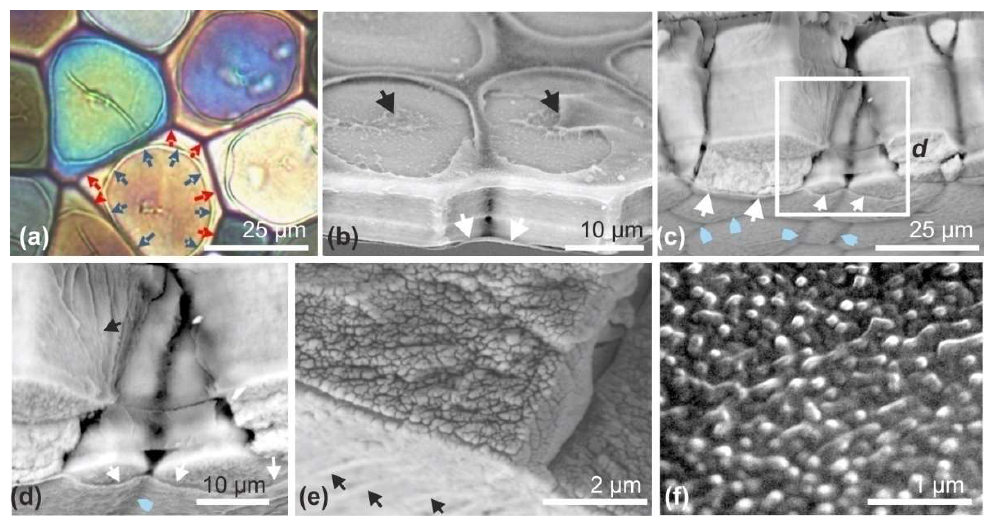 Minerals 08 00370 g005