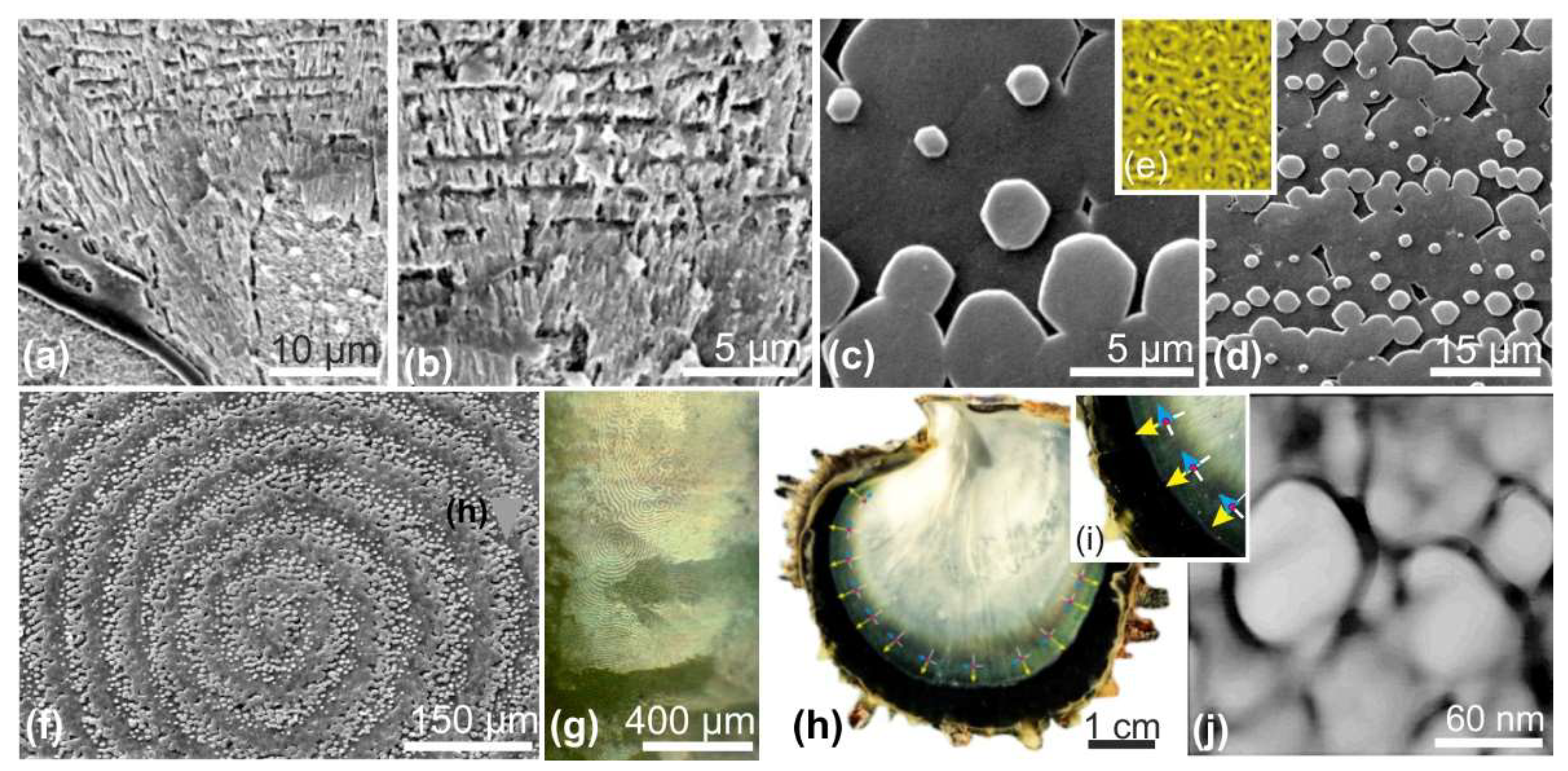 Minerals 08 00370 g009