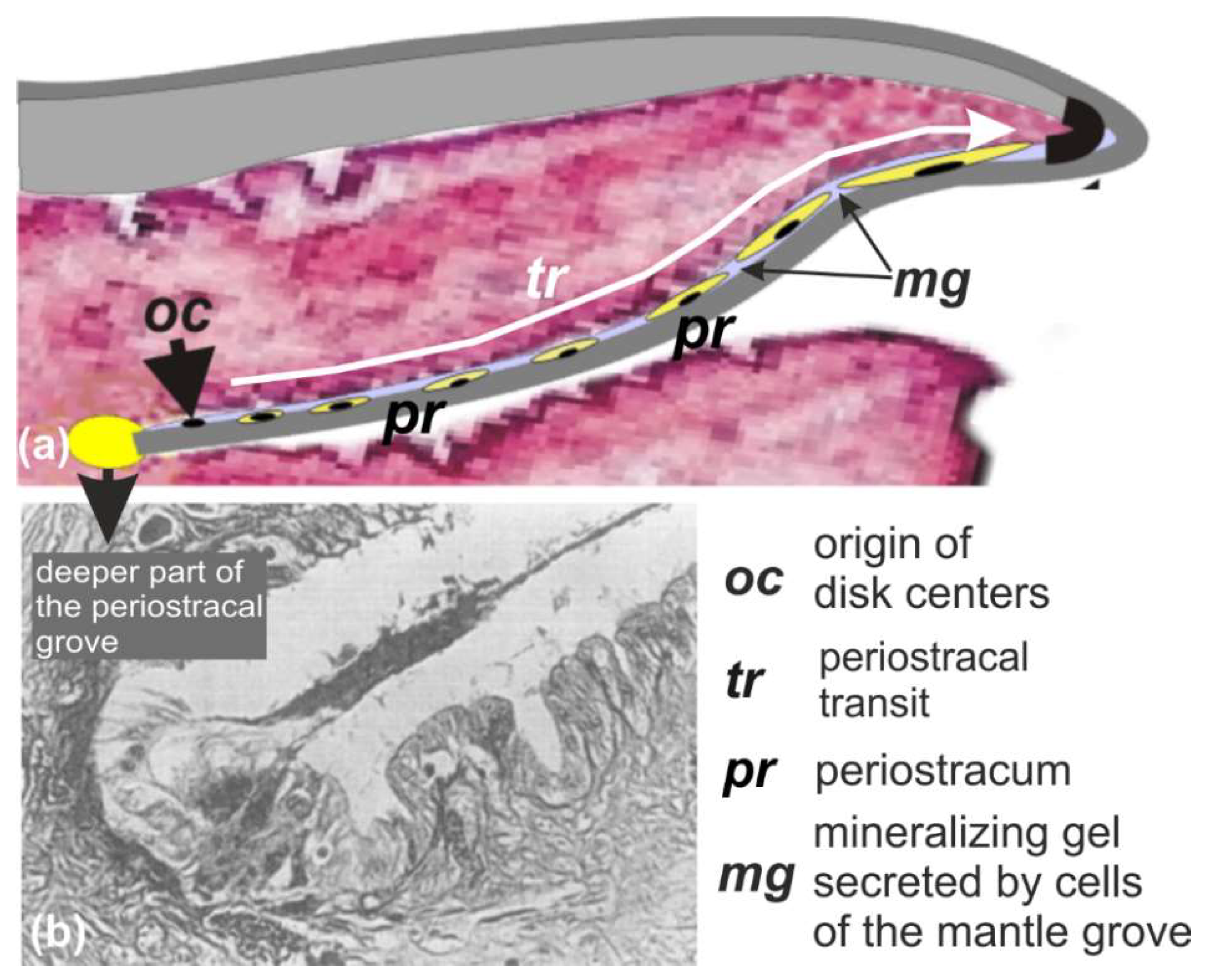 Minerals 08 00370 g0a3