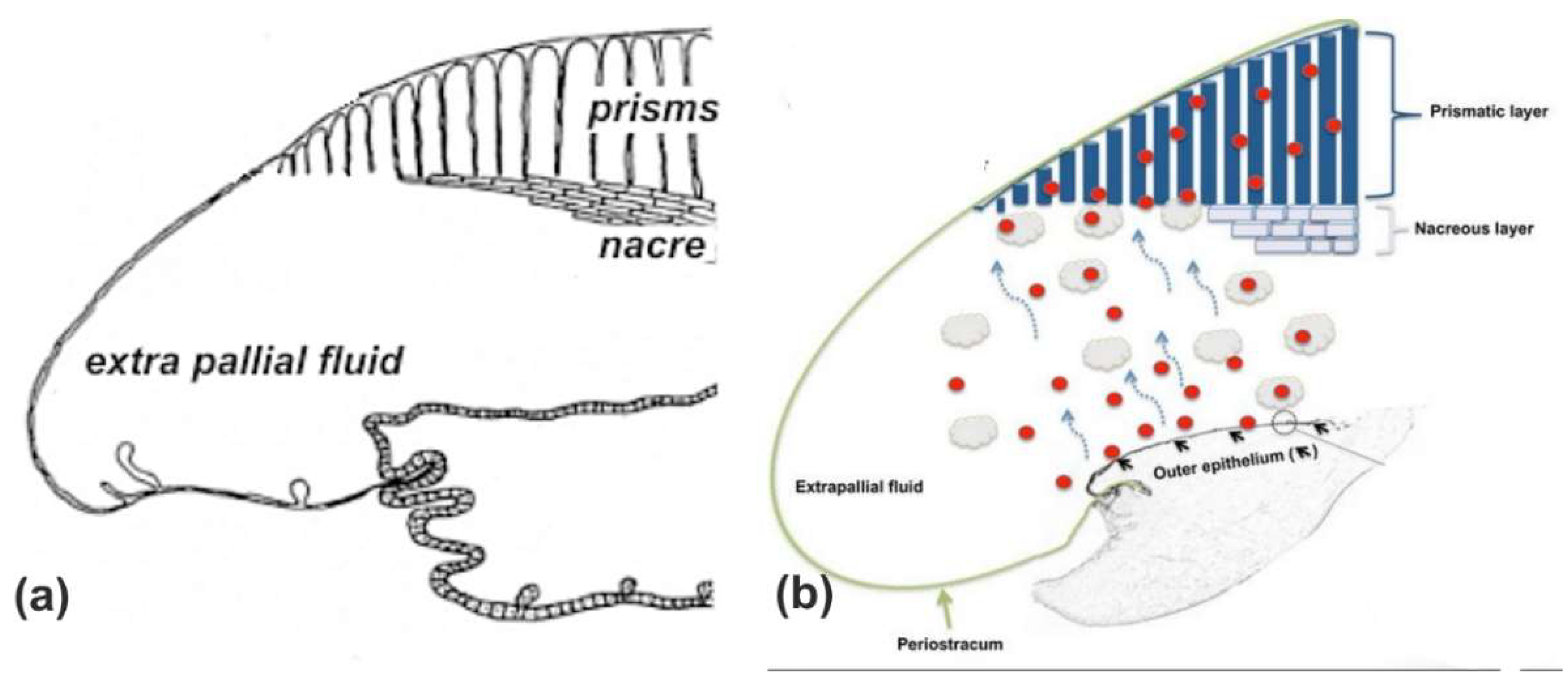 Minerals 08 00370 g0a5