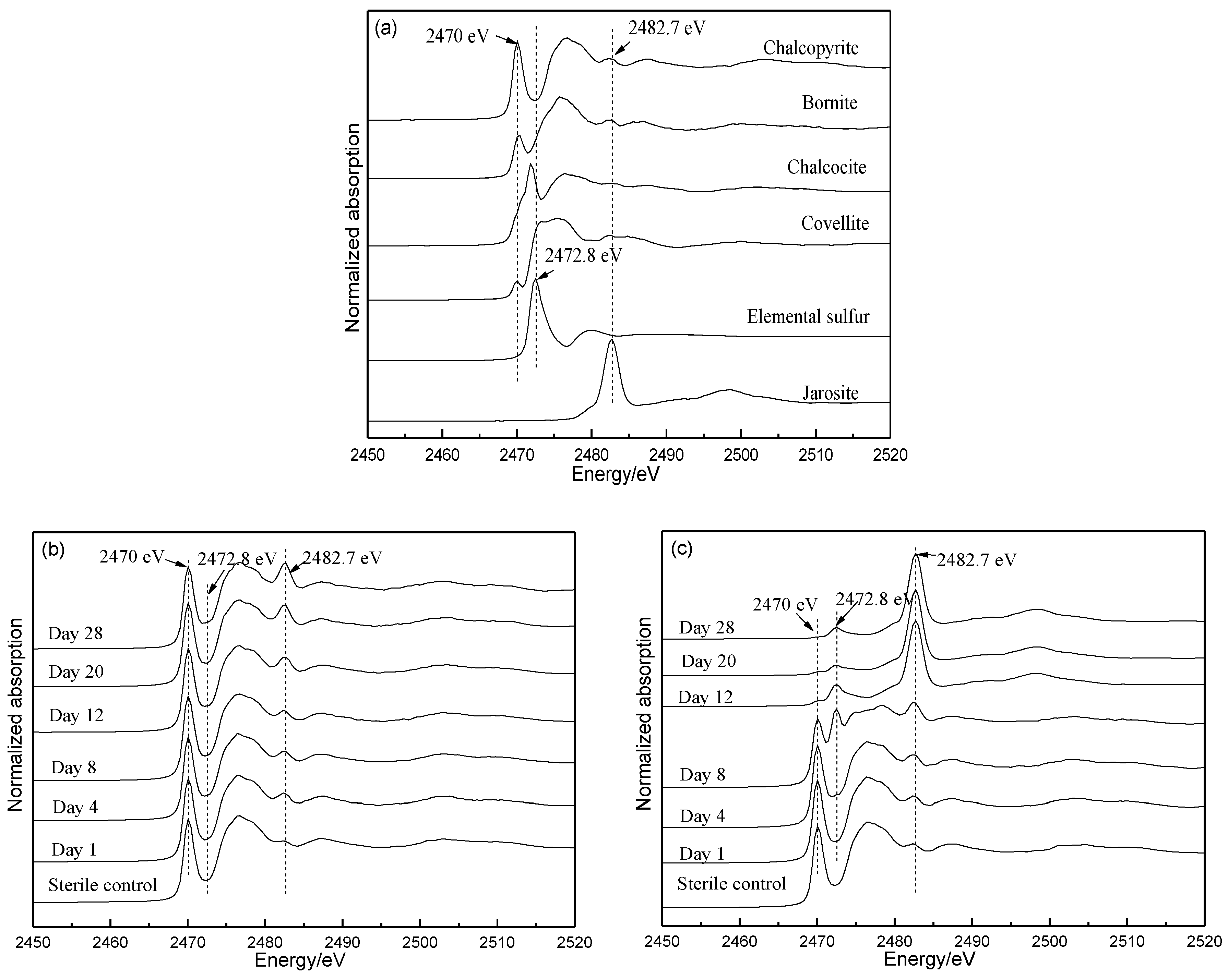 Minerals 08 00382 g007a 550