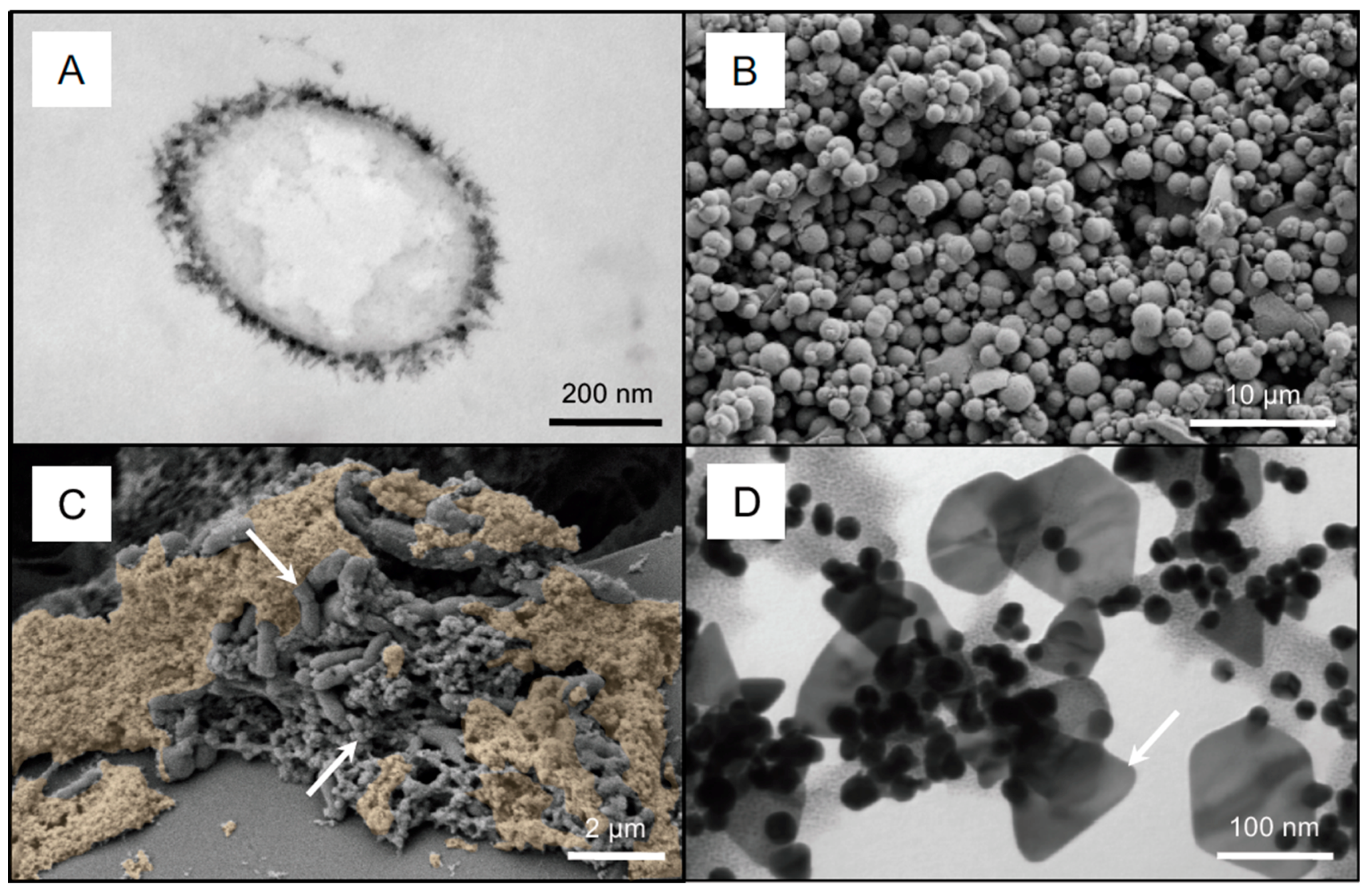 Minerals 08 00401 g001