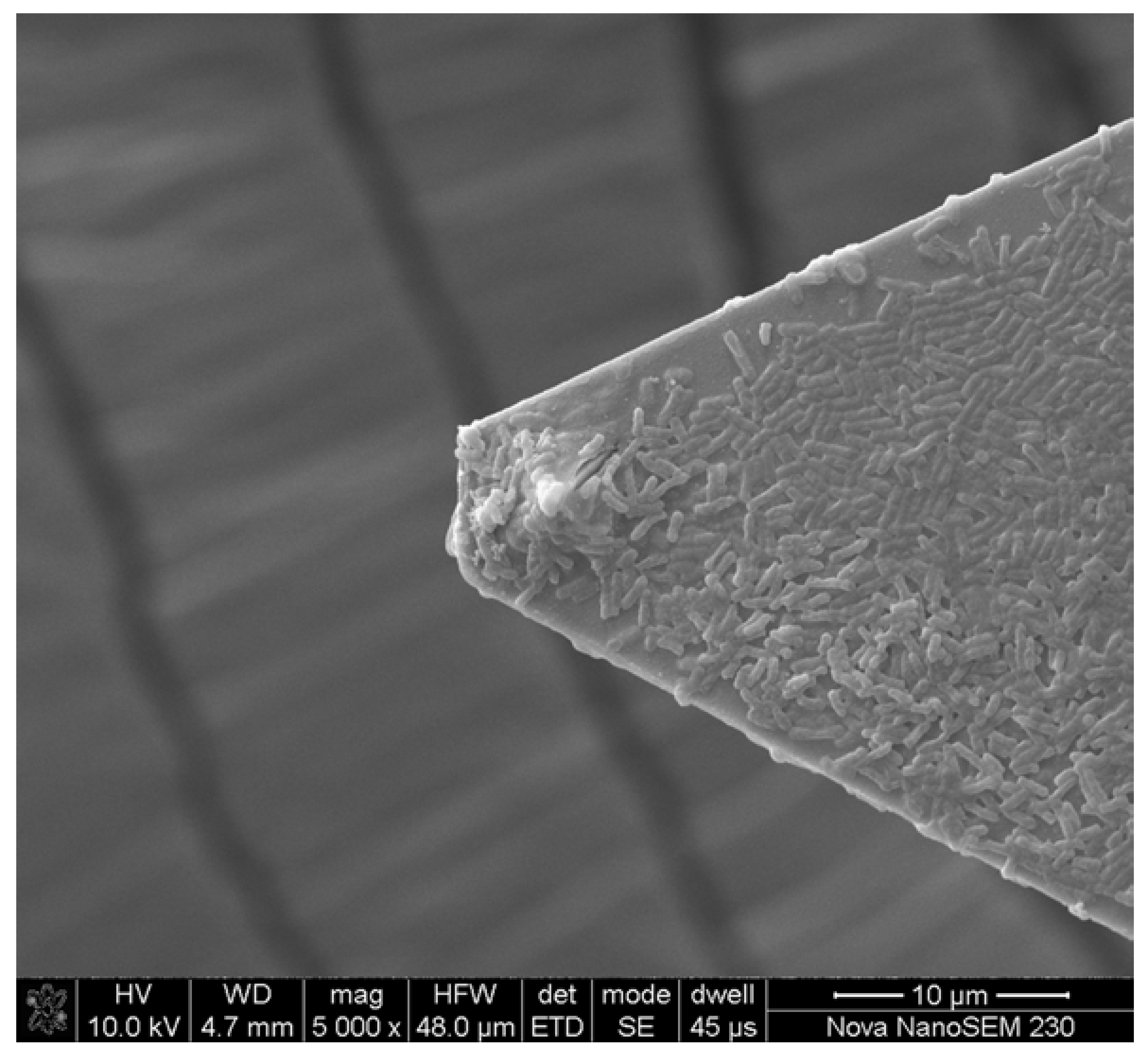 Minerals 08 00406 g001