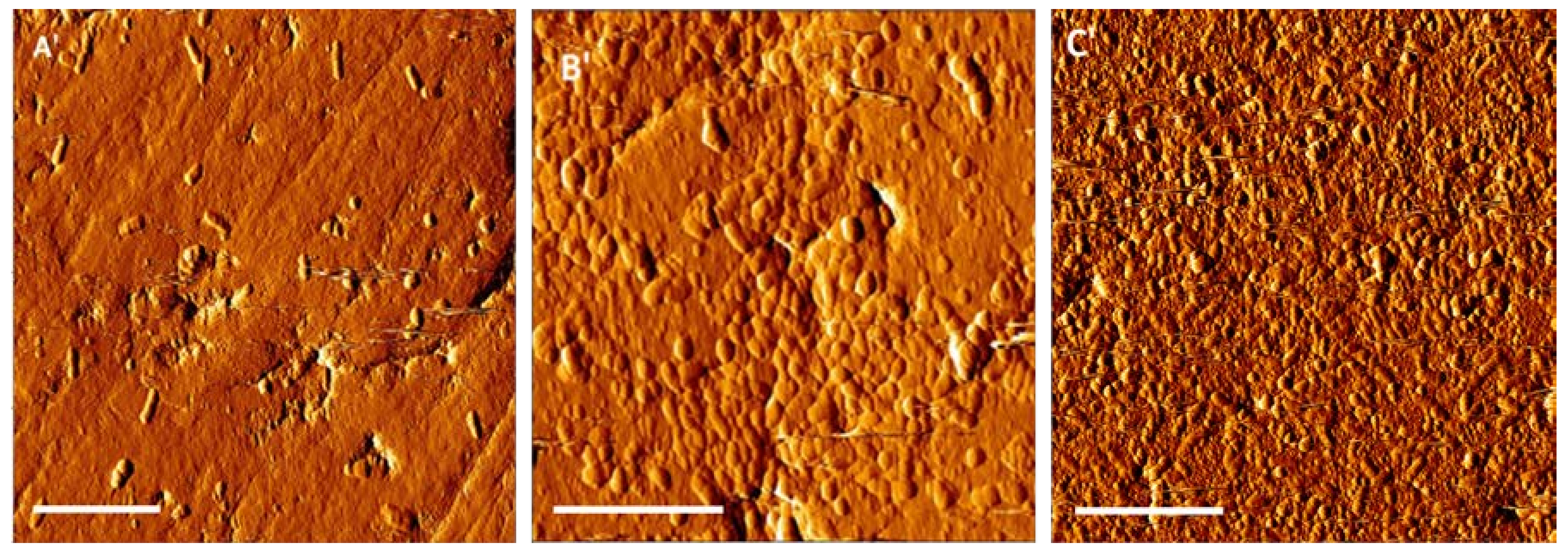 Minerals 08 00406 g006b