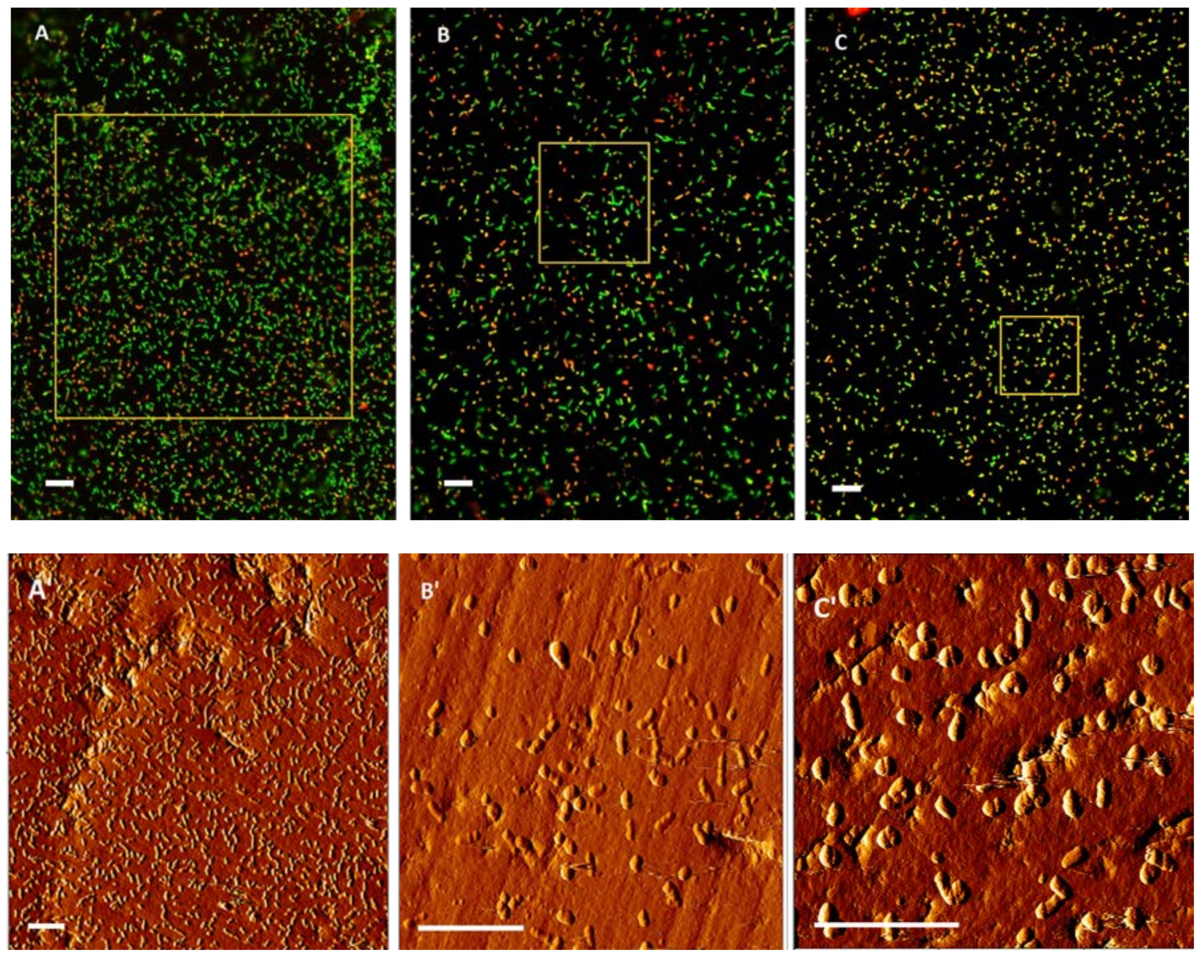 Minerals 08 00406 g007