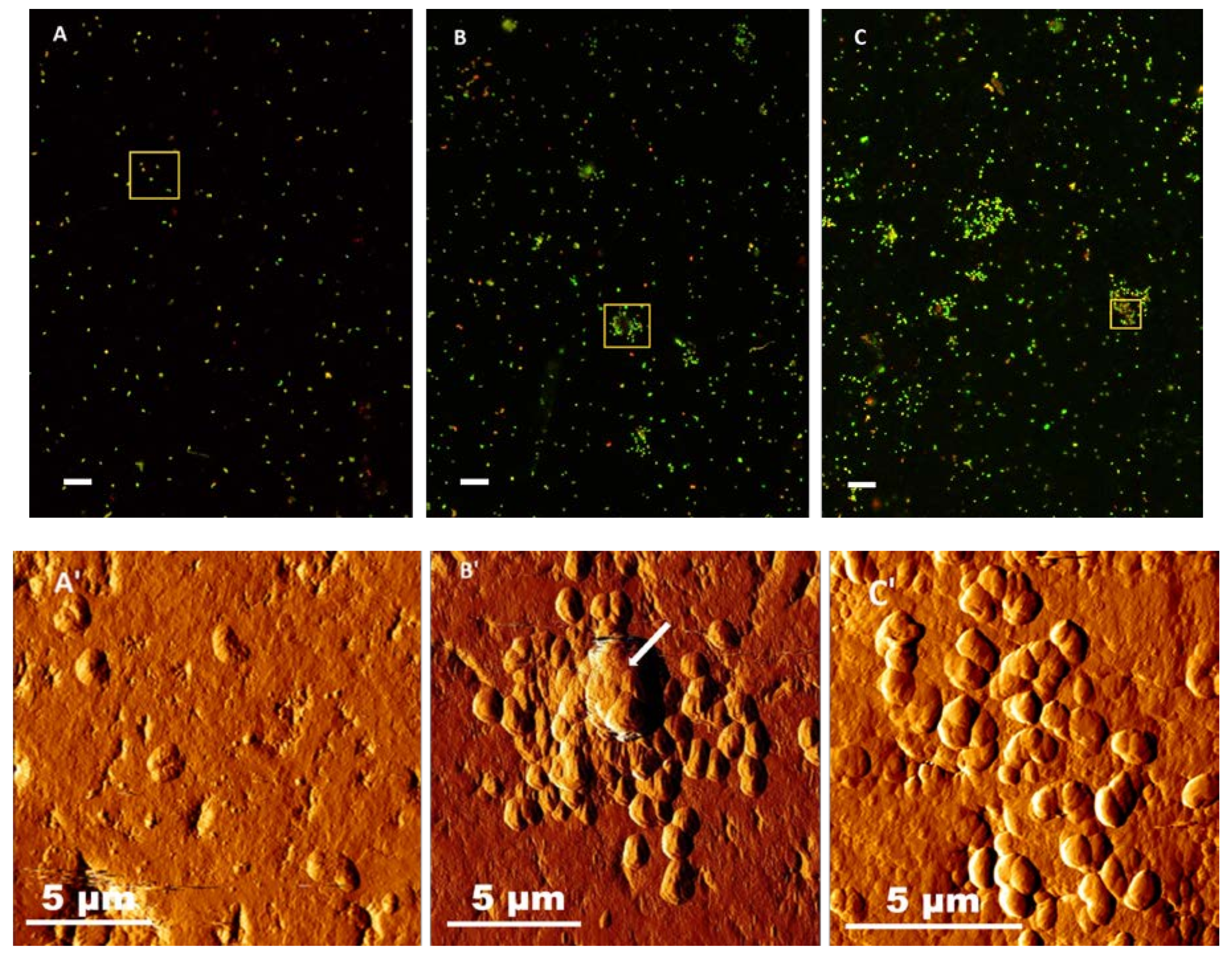 Minerals 08 00406 g008