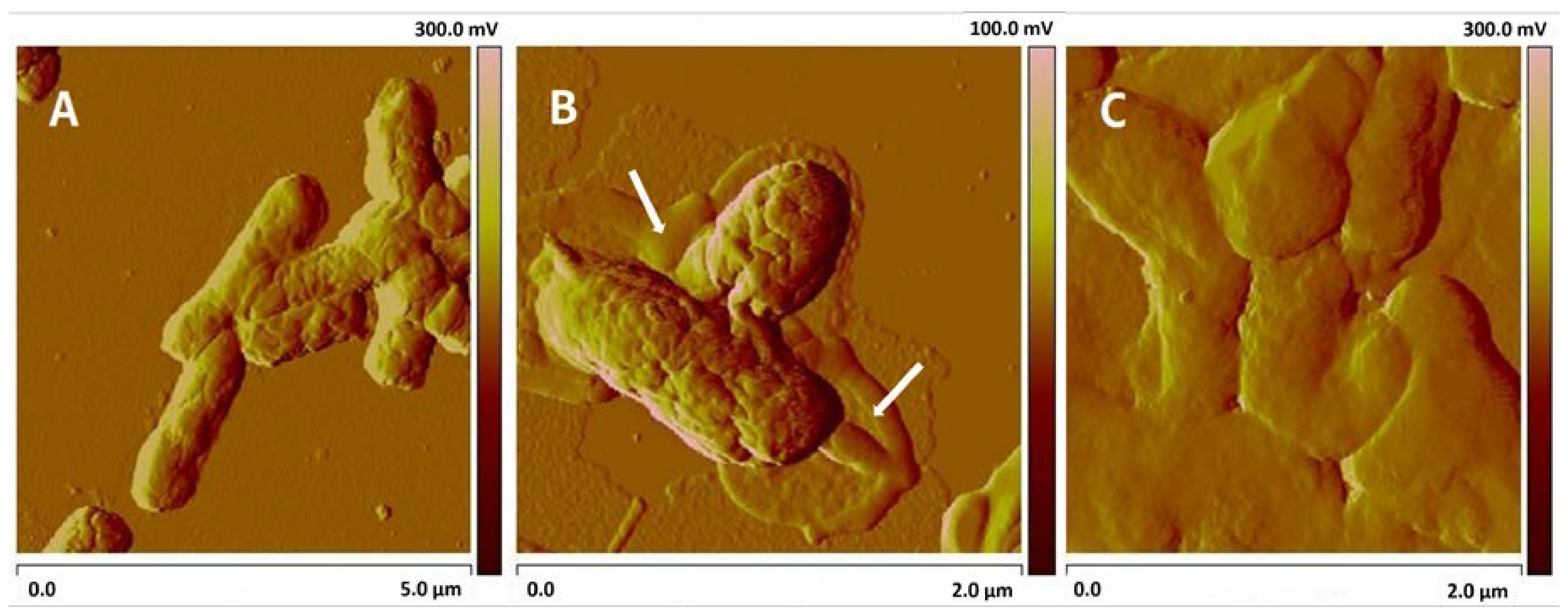 Minerals 08 00406 g009