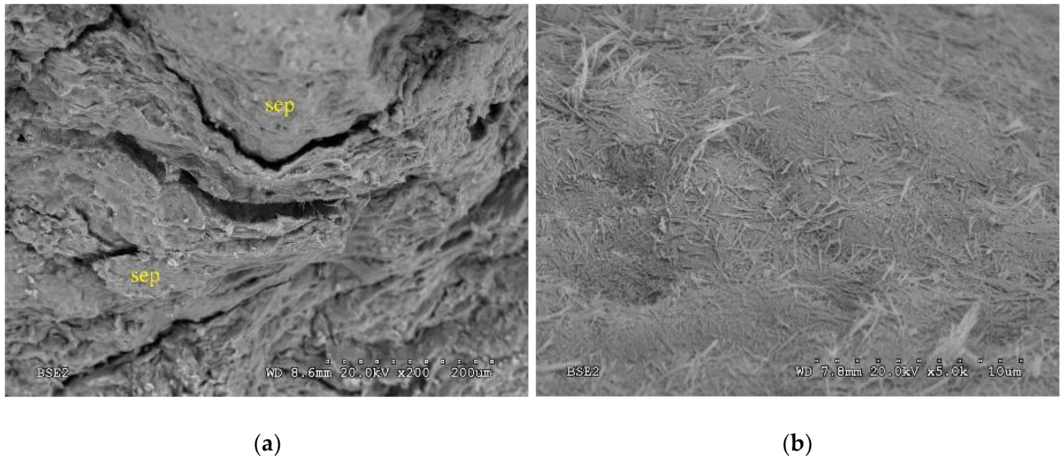 Minerals 08 00418 g008a