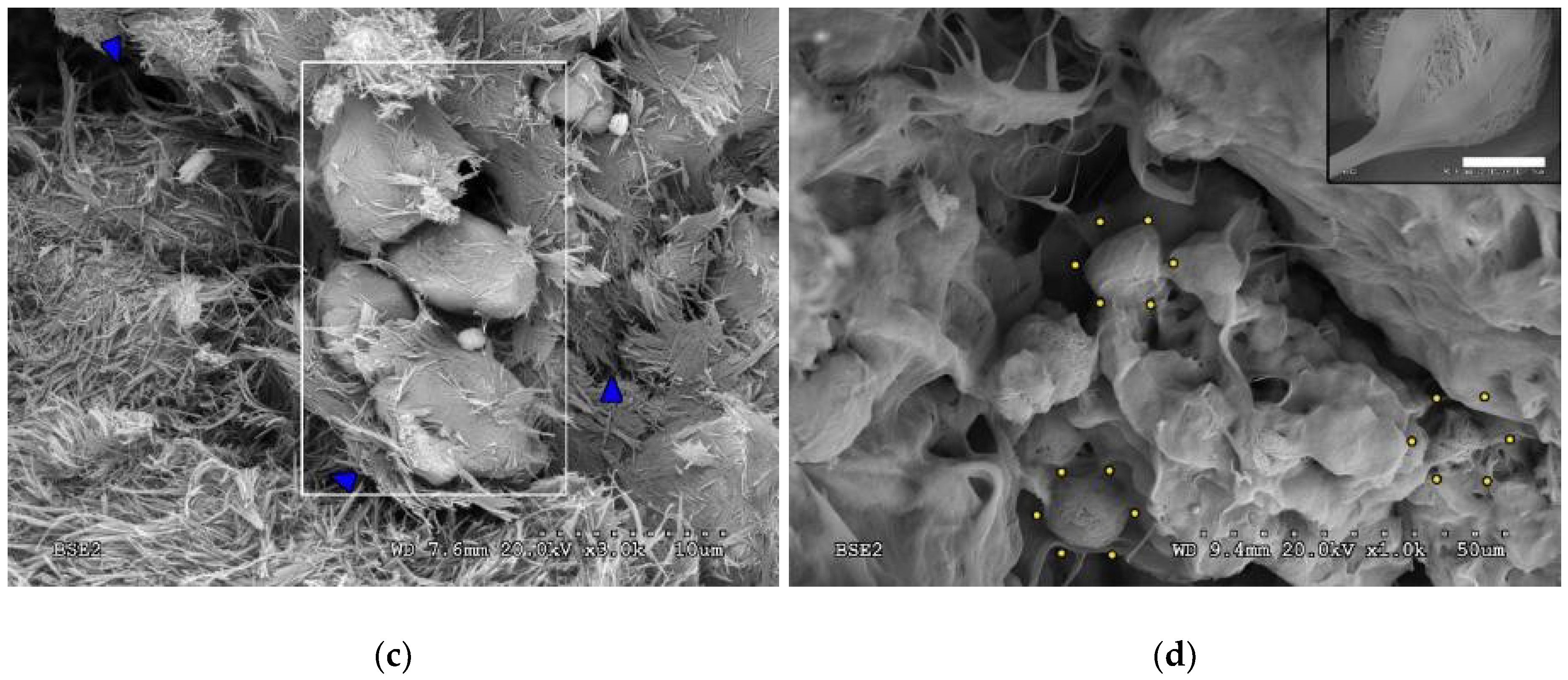Minerals 08 00418 g008b