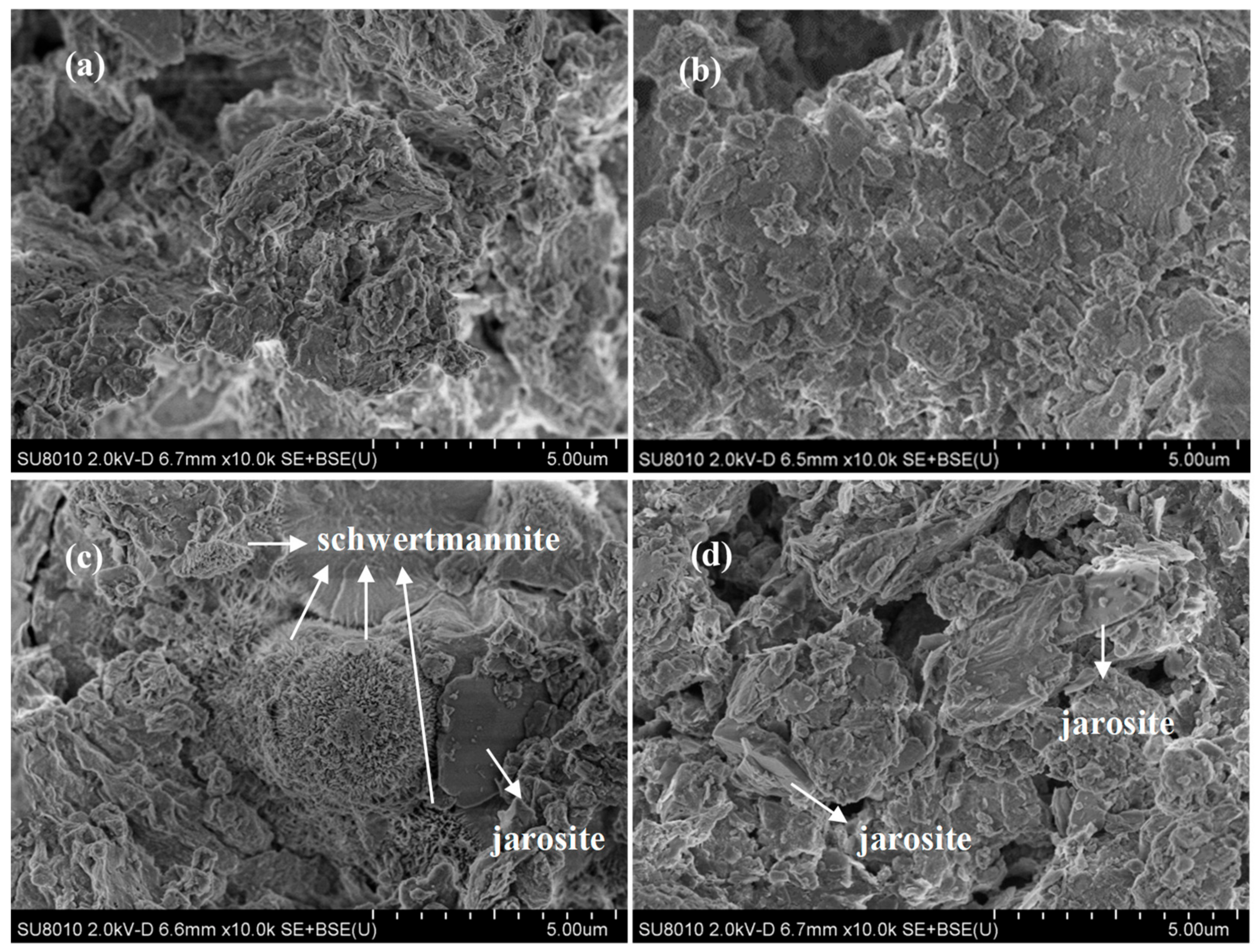 Minerals 08 00419 g002