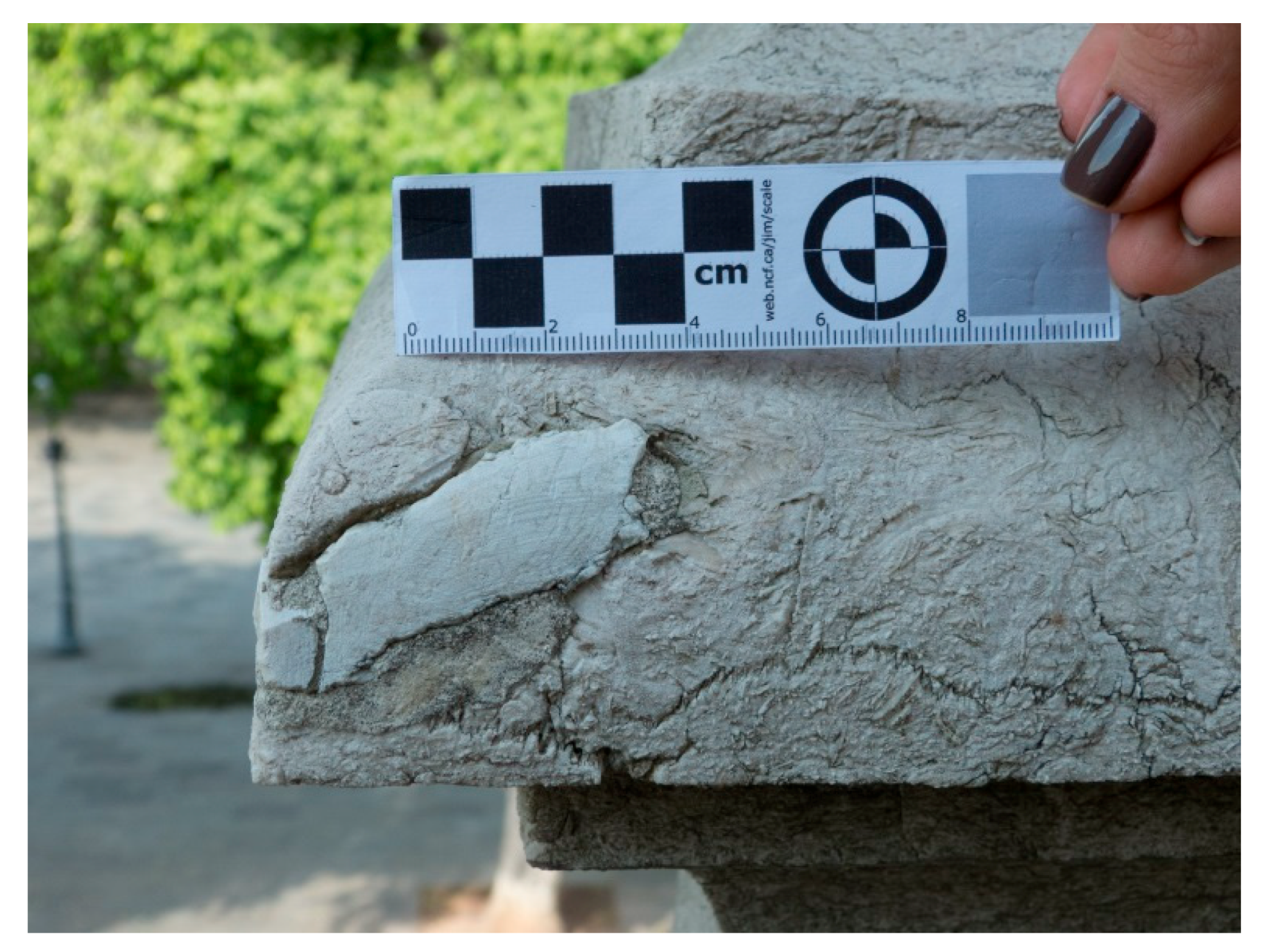 Minerals 08 00465 g009