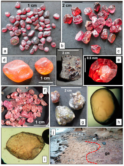 Exploring the Geology and Formation of Amber: From Tree Resin to Precious  Gemstone