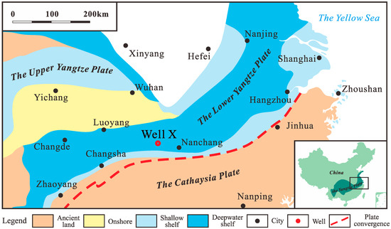 Effect of Hydrothermal Activity on Organic Matter Enrichment of