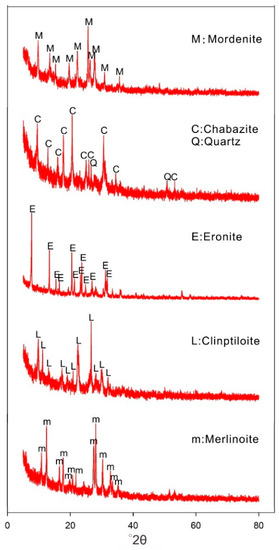 how does radiation affect the skin