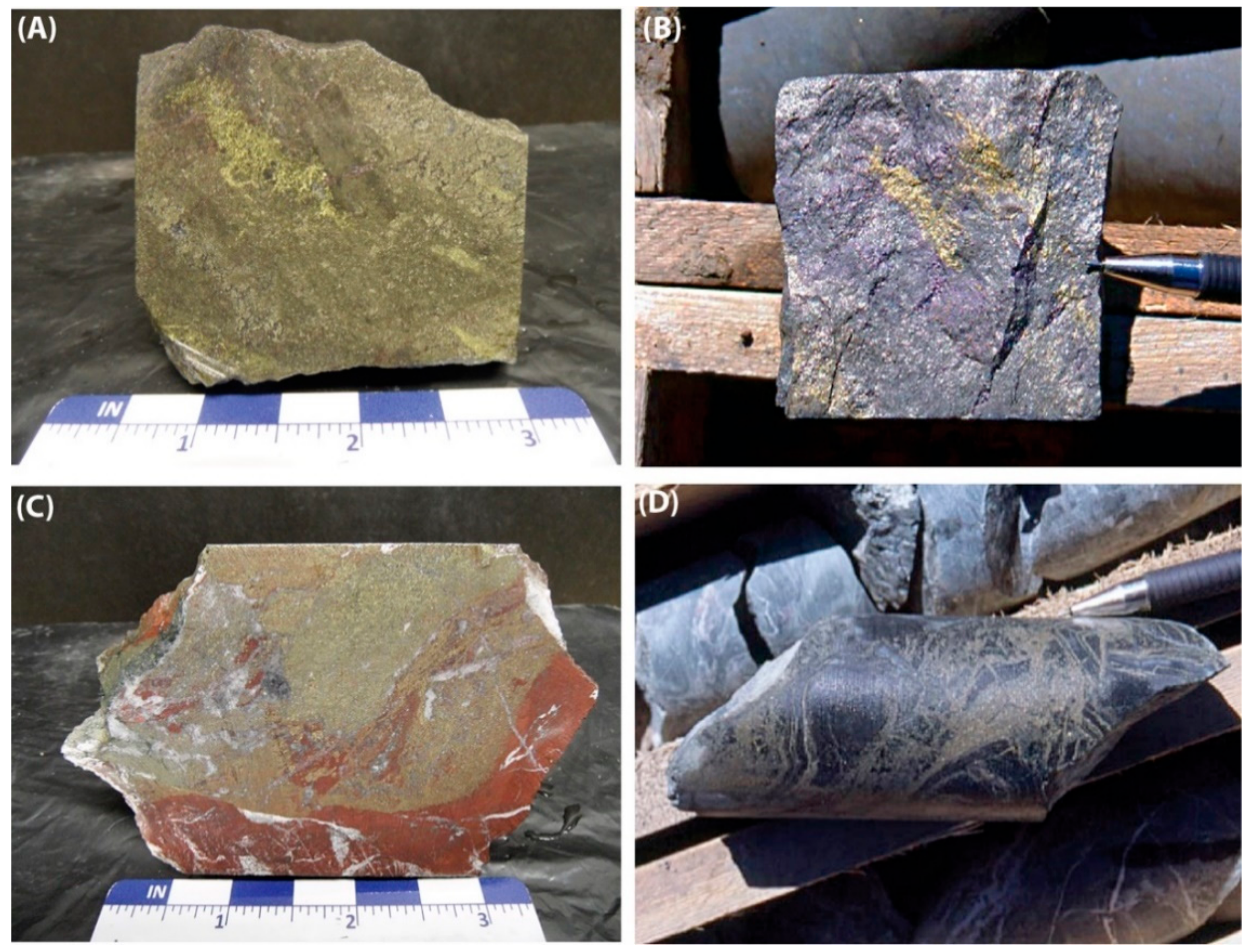 Minerals 08 00501 g007 550