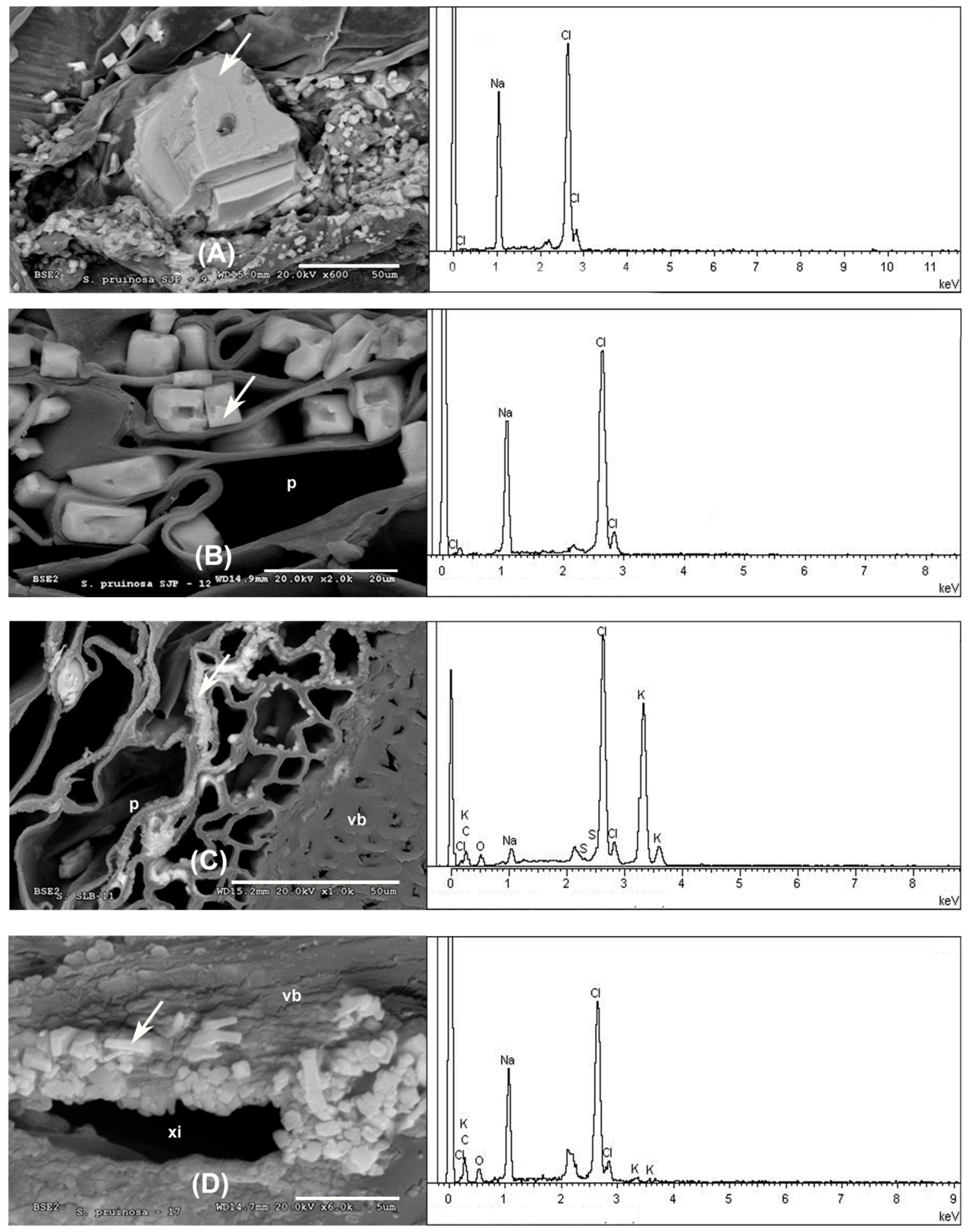 Minerals 08 00505 g003 550