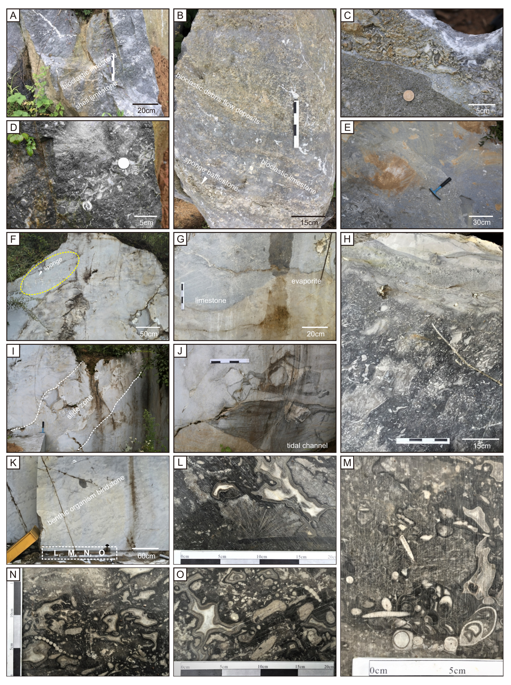 Minerals 08 00533 g009