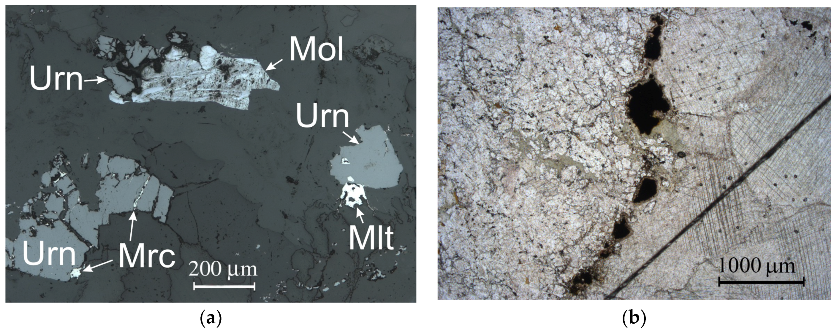 Minerals 08 00563 g005 550