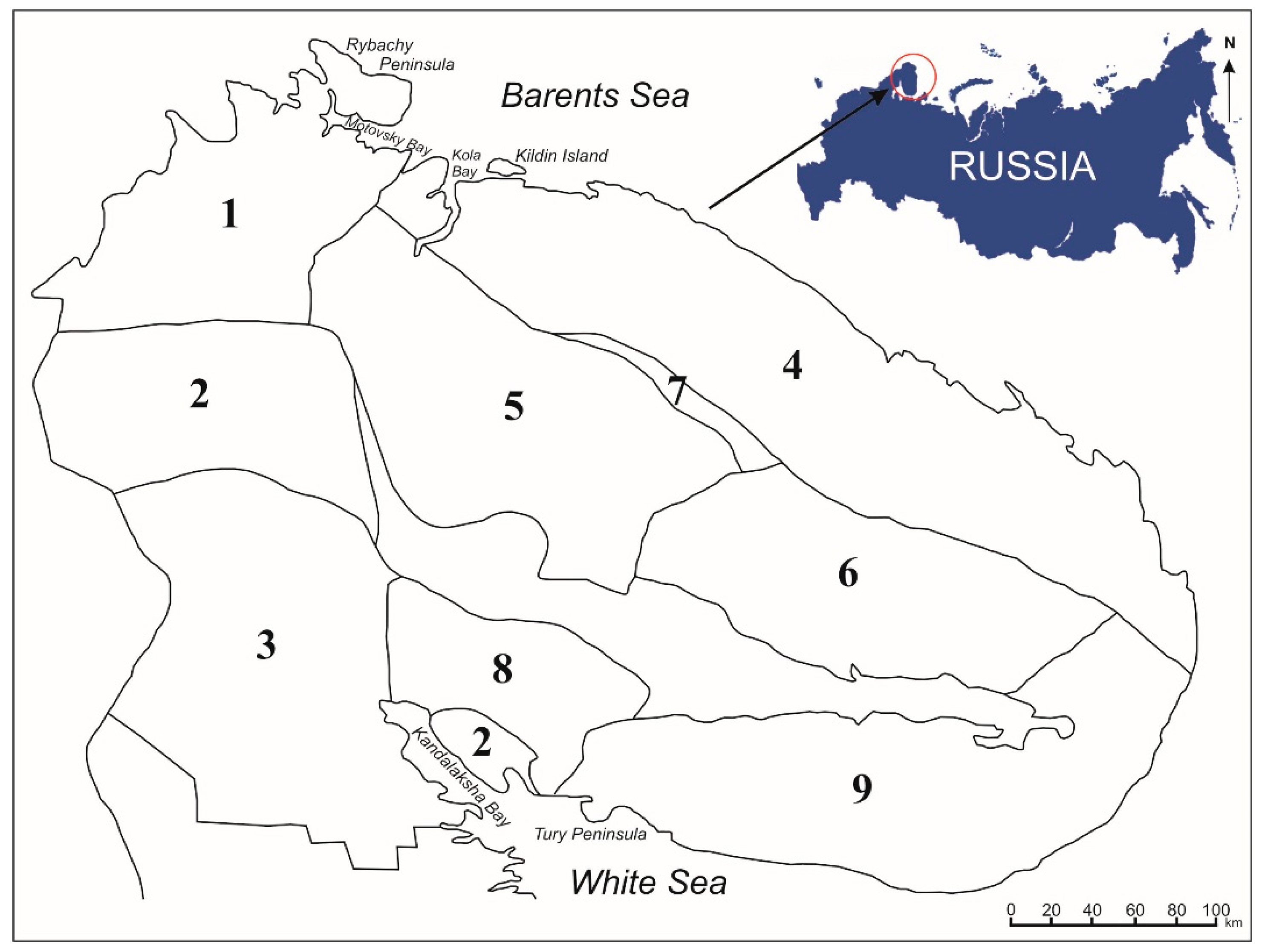 and Metallogeny Structure Granites: Petrology Geological Setting
