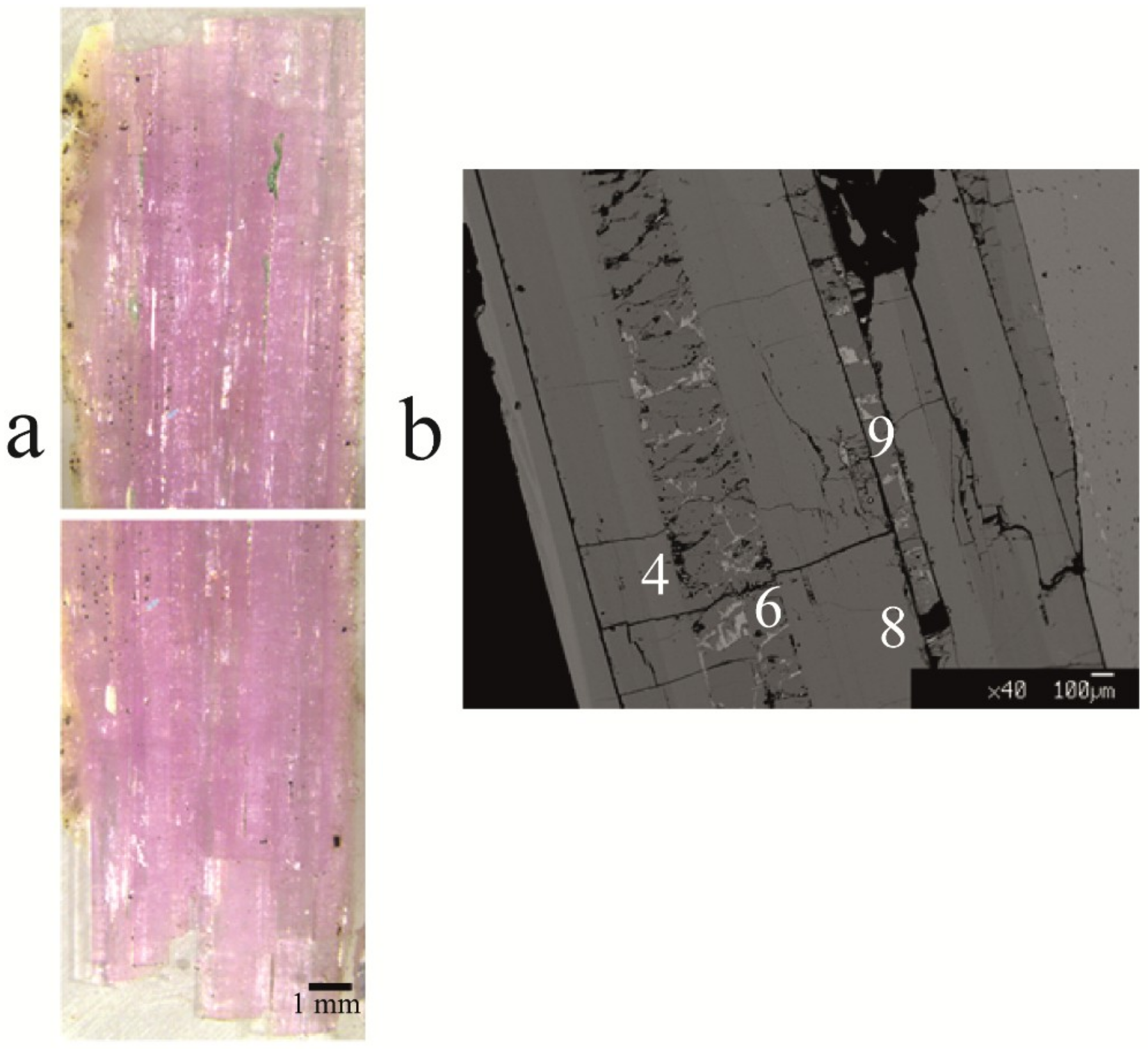 Minerals 08 00593 g008