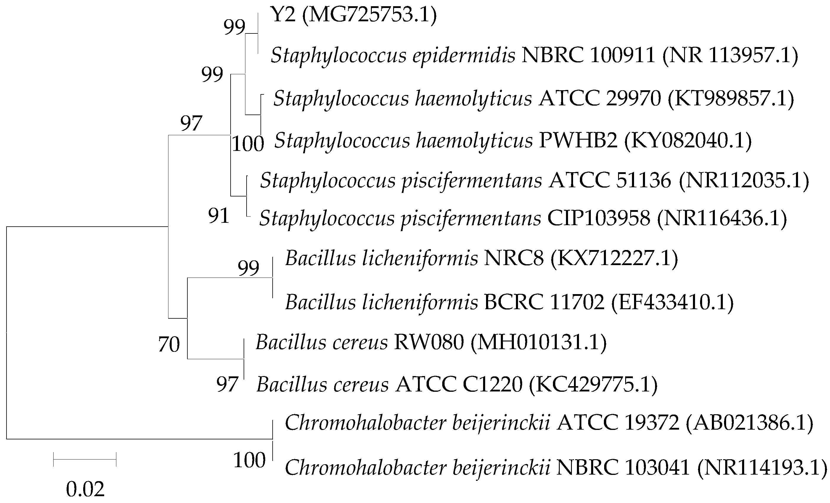 Minerals 08 00594 g001