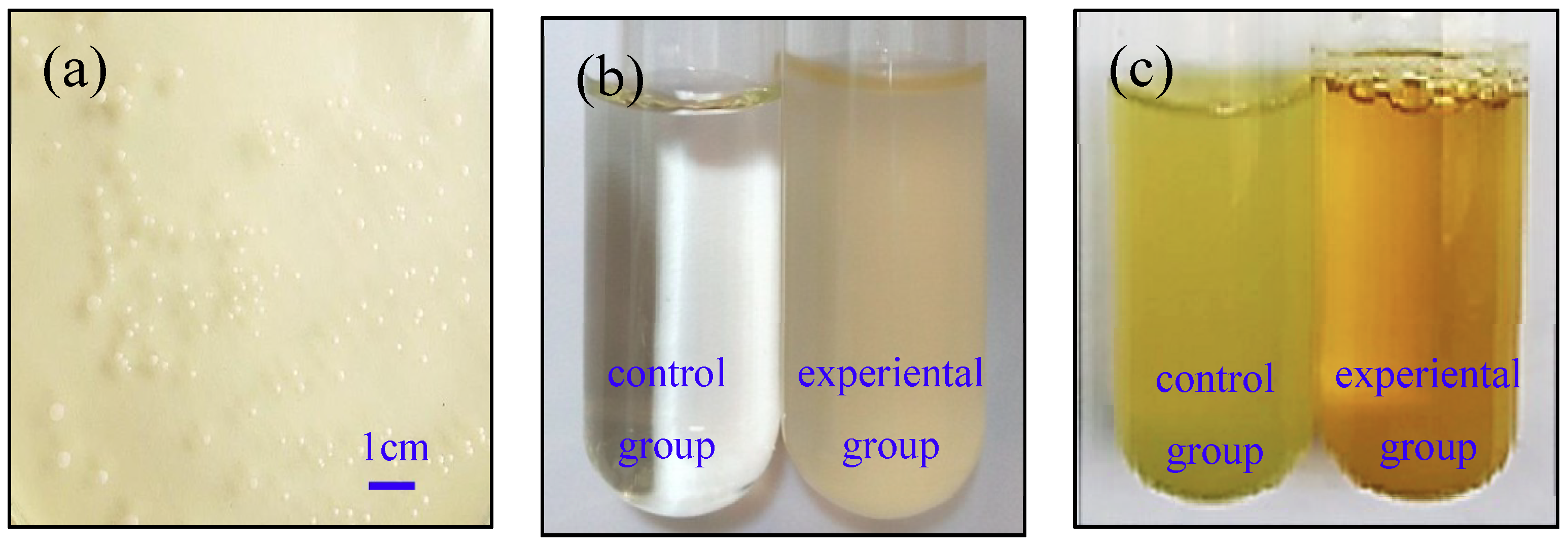 carbonate precipitate color carbonate precipitate color