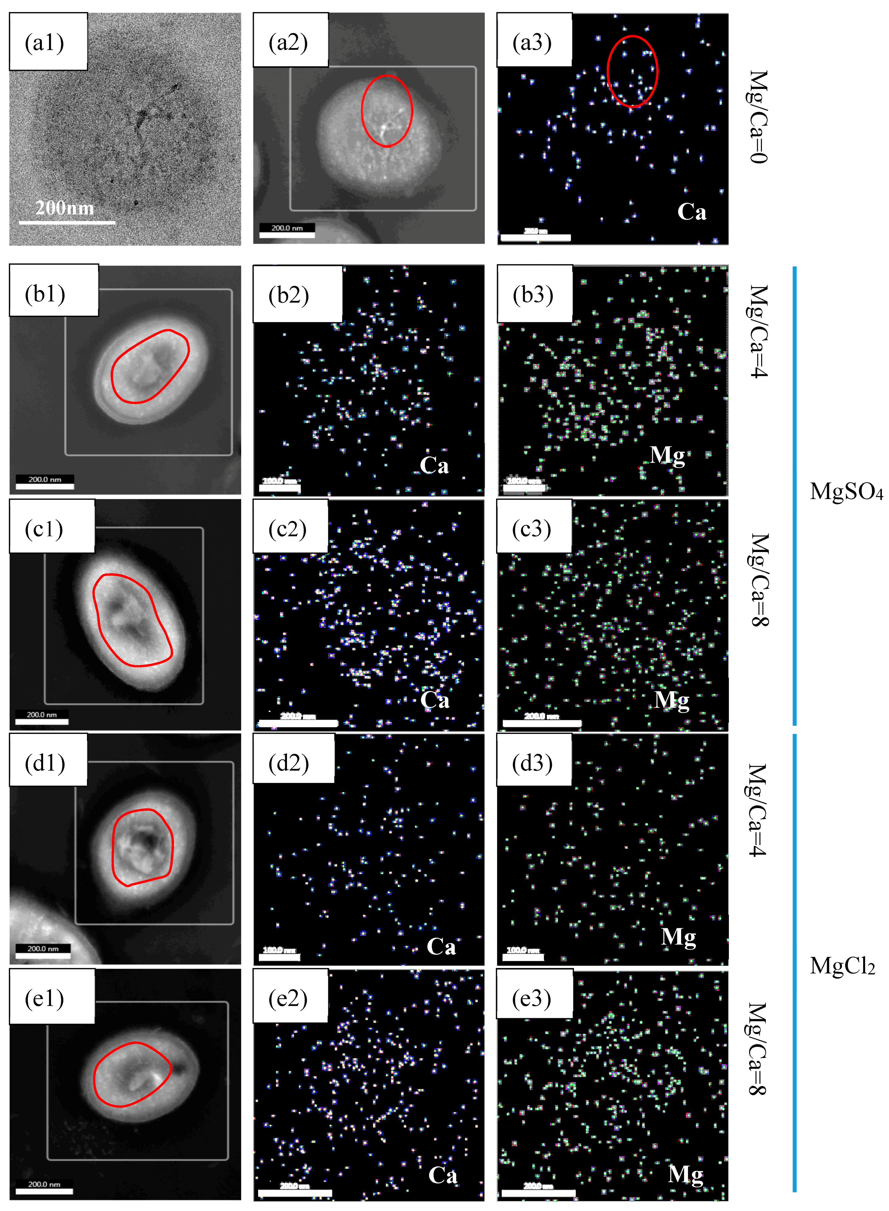 Minerals 08 00594 g010