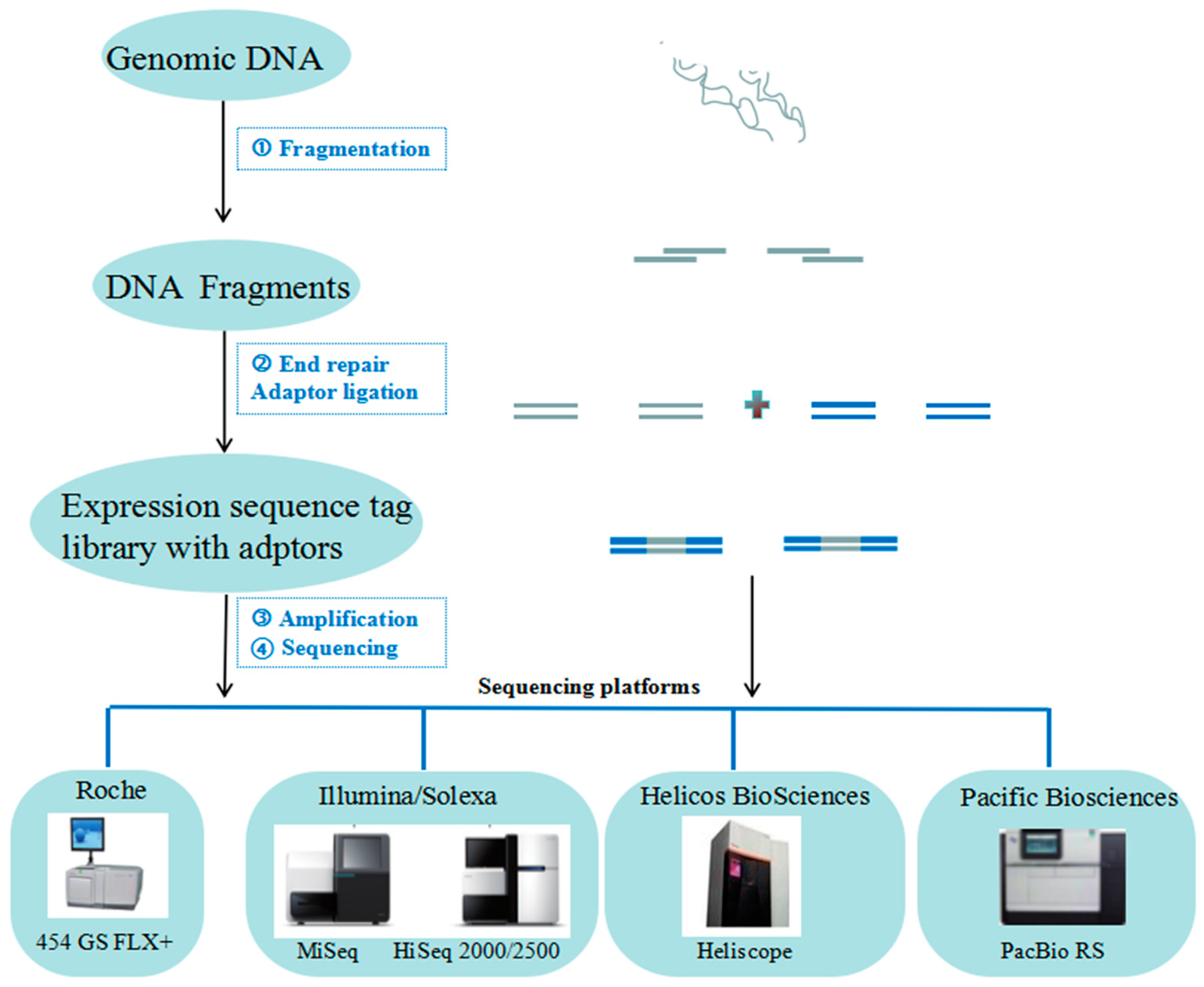 Minerals 08 00596 g003 Minerals 08 00596 g003
