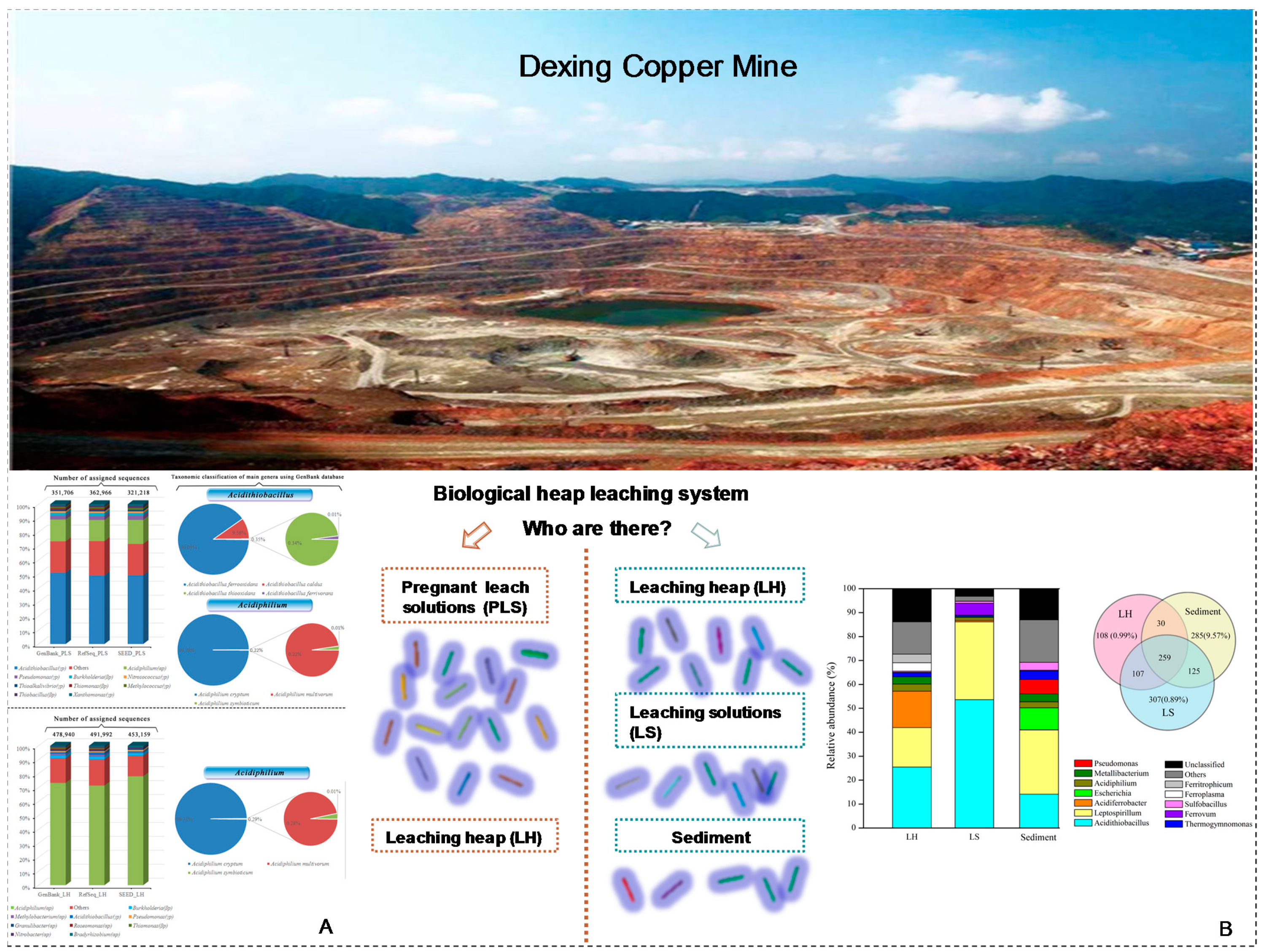 Minerals 08 00596 g004 Minerals 08 00596 g004