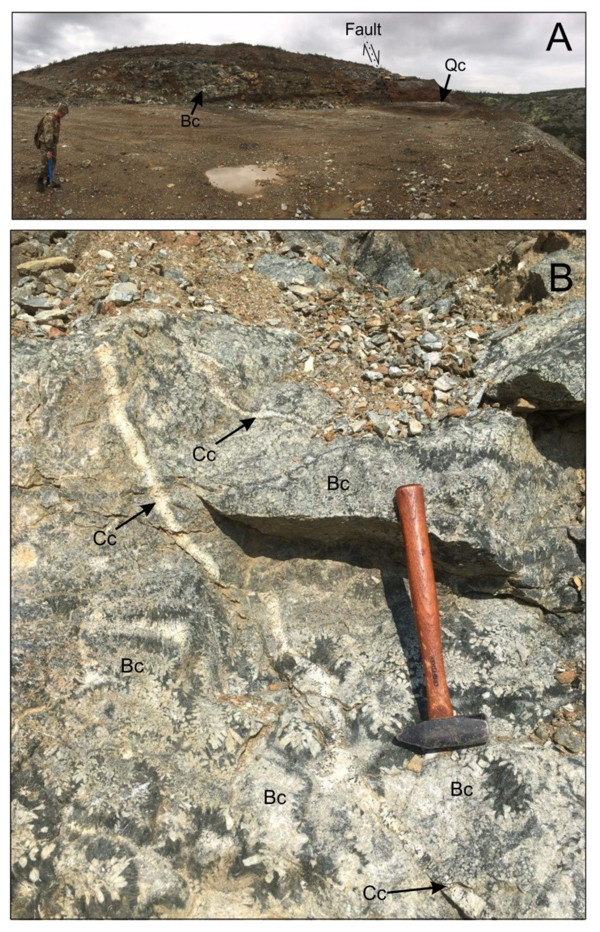 Minerals 08 00602 g003 550