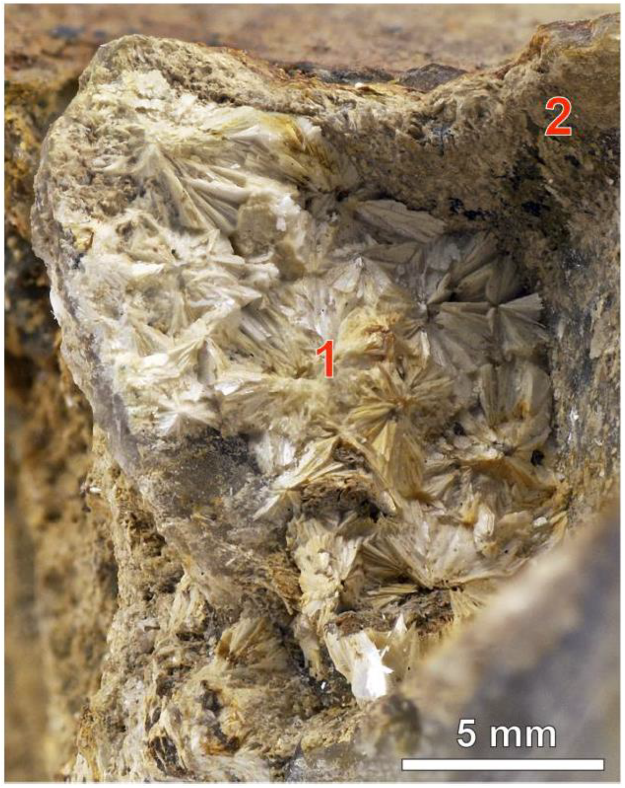 Minerals 09 00012 g004 Minerals 09 00012 g004