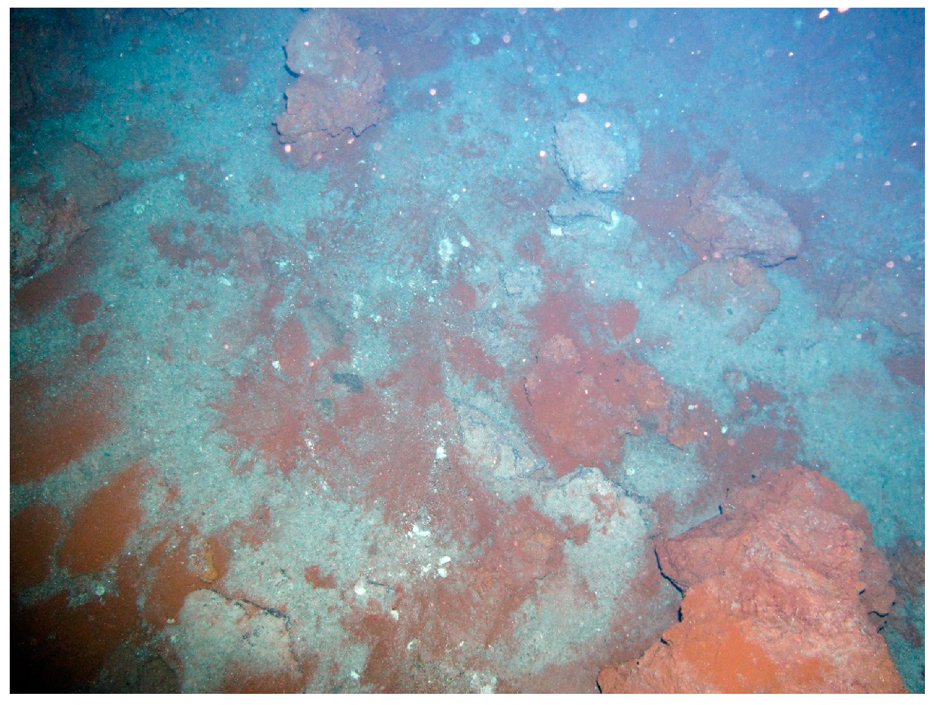 Minerals 09 00019 g002 Minerals 09 00019 g002