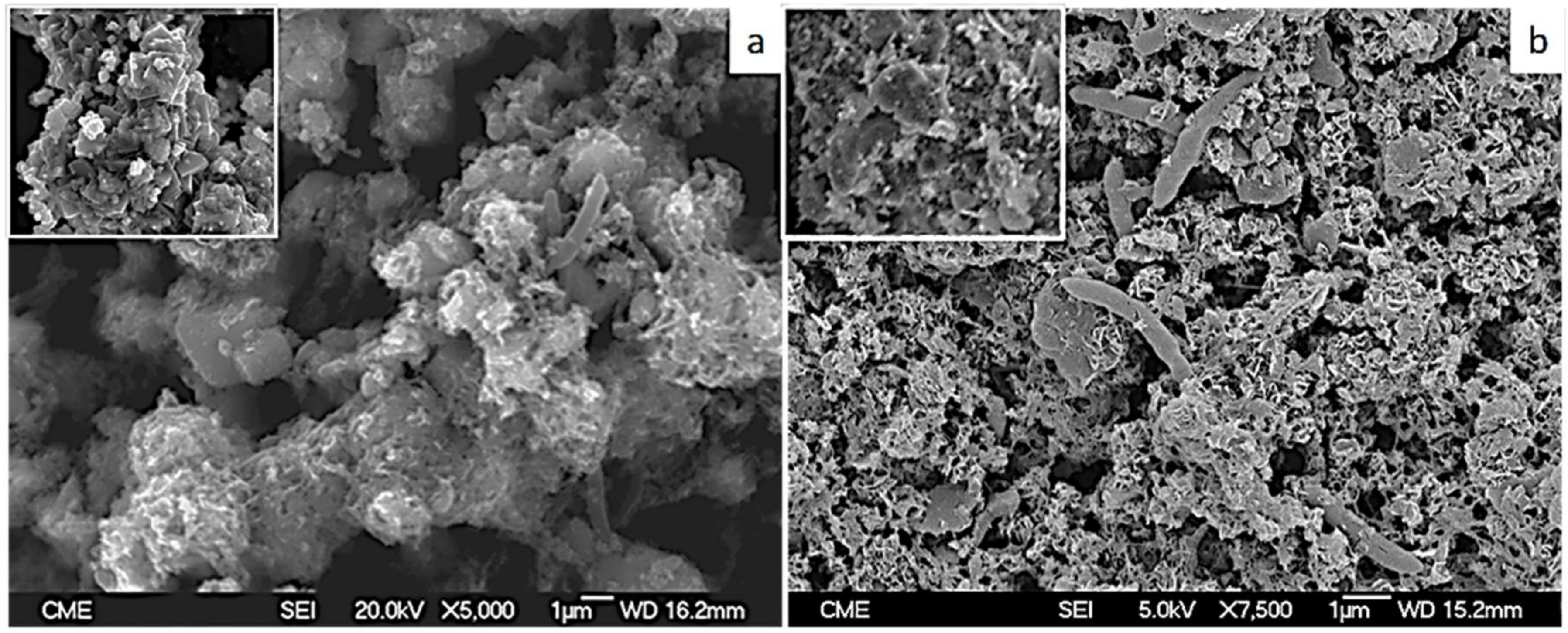 Minerals 09 00081 g004