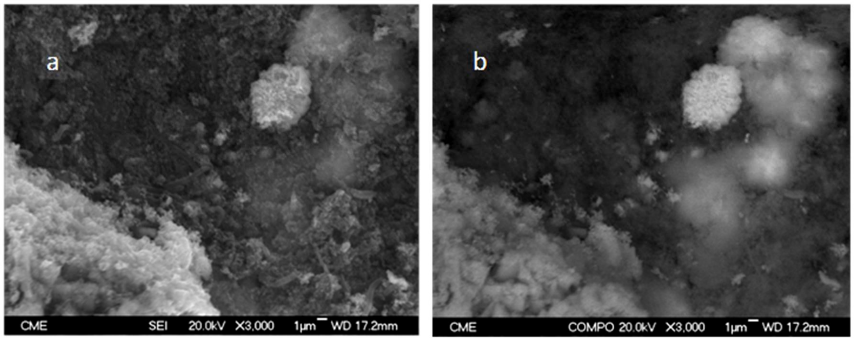 minerals free full text anaerobic bioreduction of so yu ly lch
