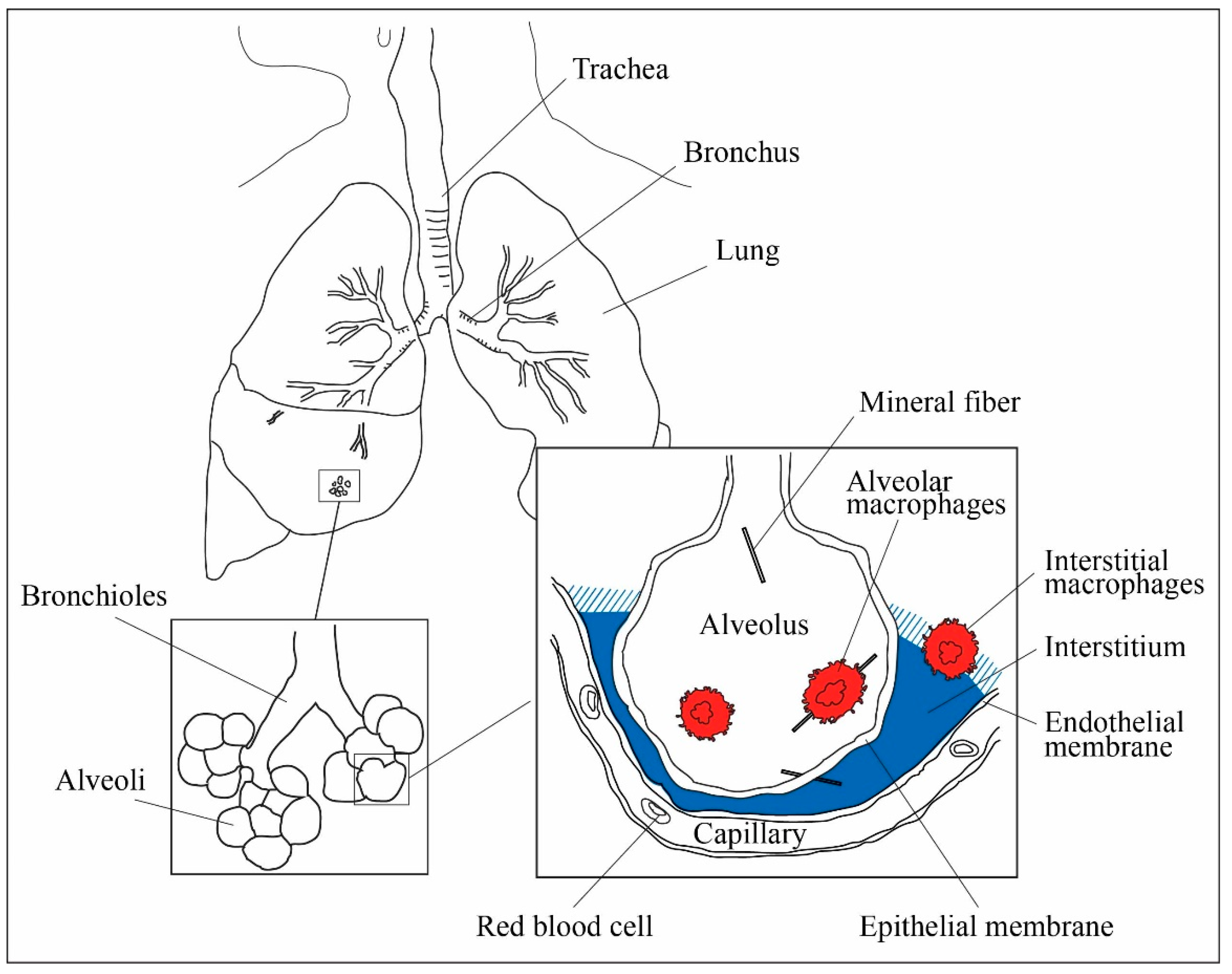 Minerals 09 00083 g001