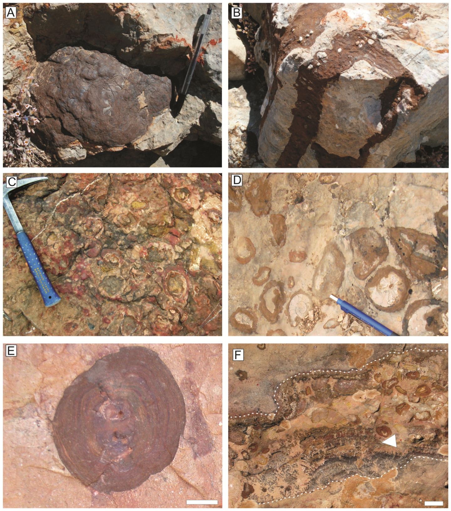 Minerals 09 00088 g004 Minerals 09 00088 g004