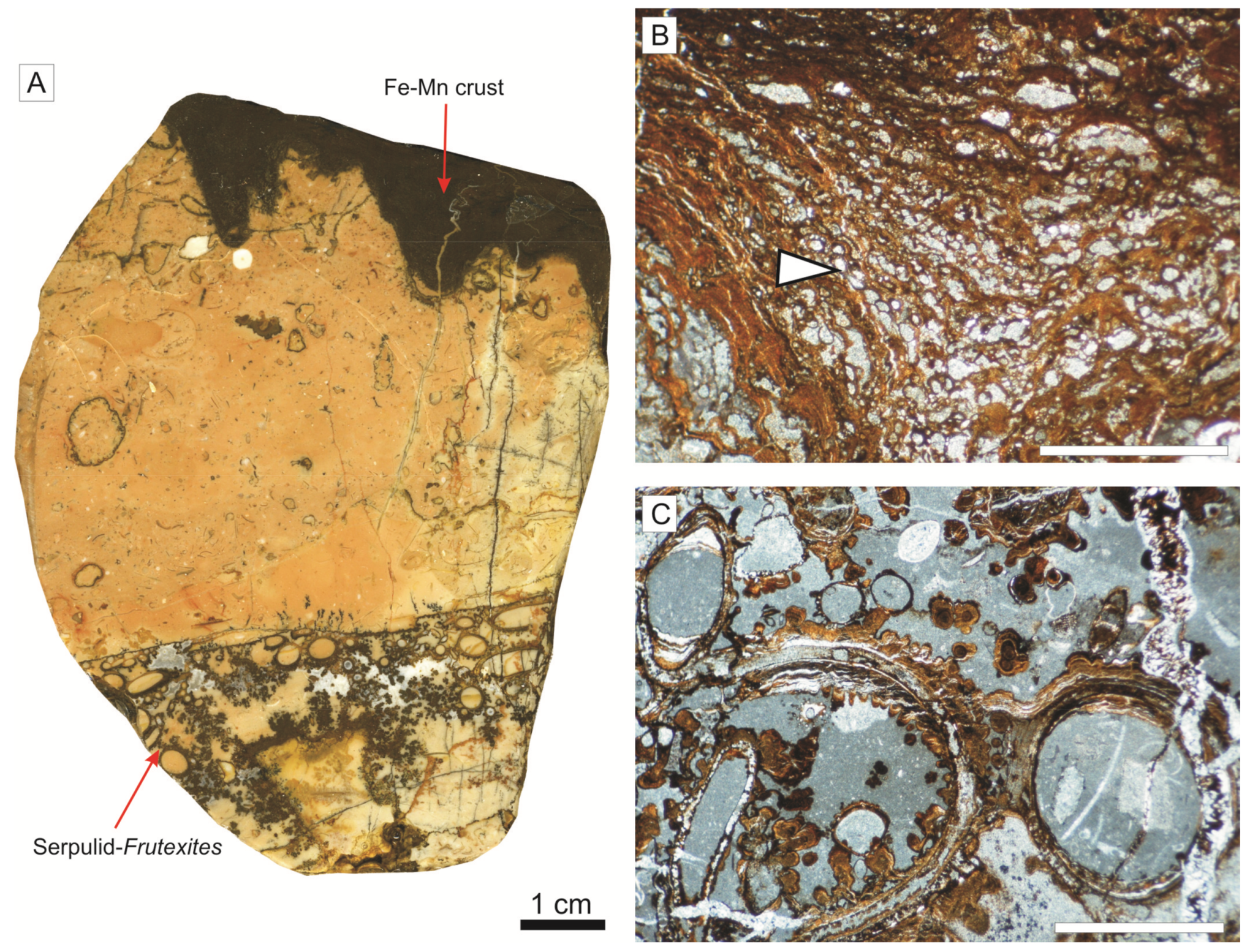 Minerals 09 00088 g005 Minerals 09 00088 g005