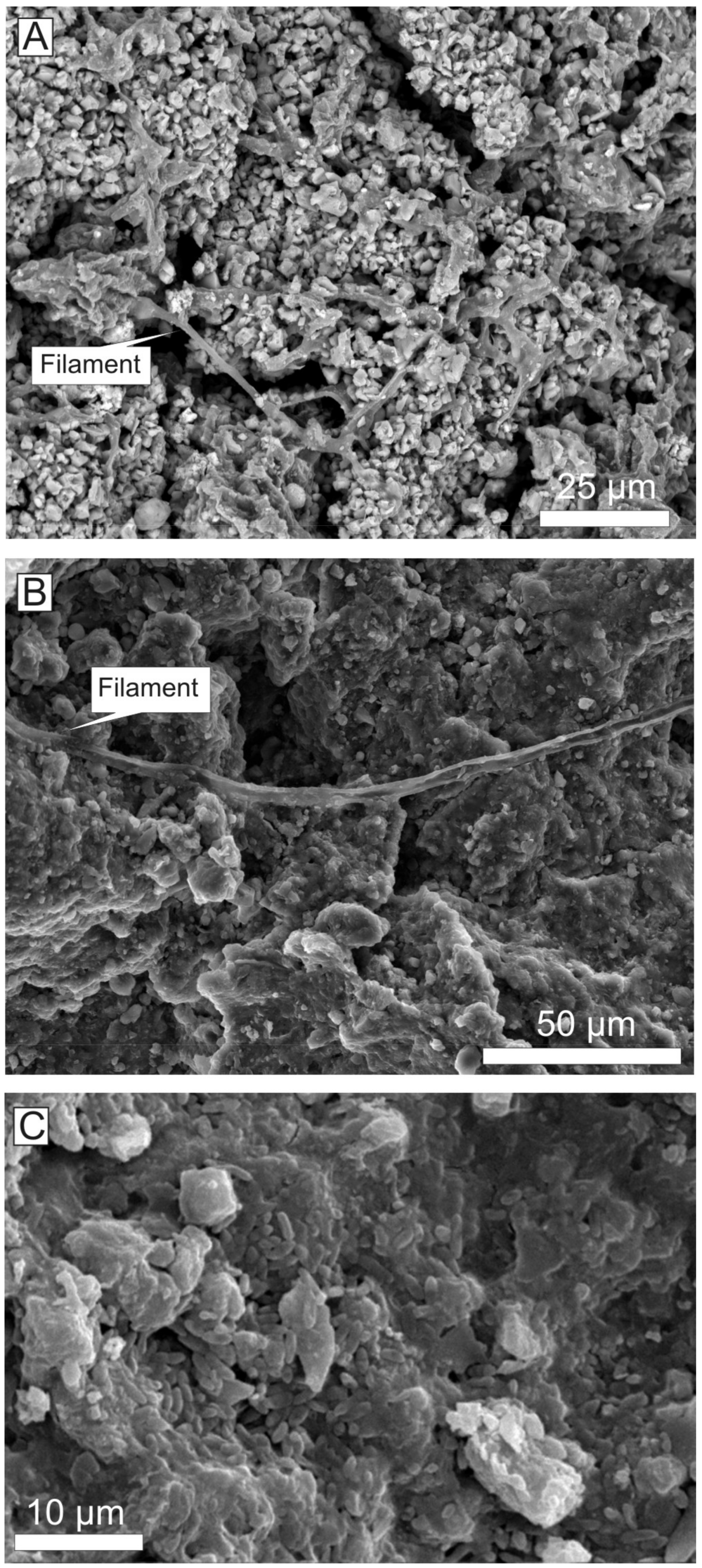 Minerals 09 00088 g012 Minerals 09 00088 g012