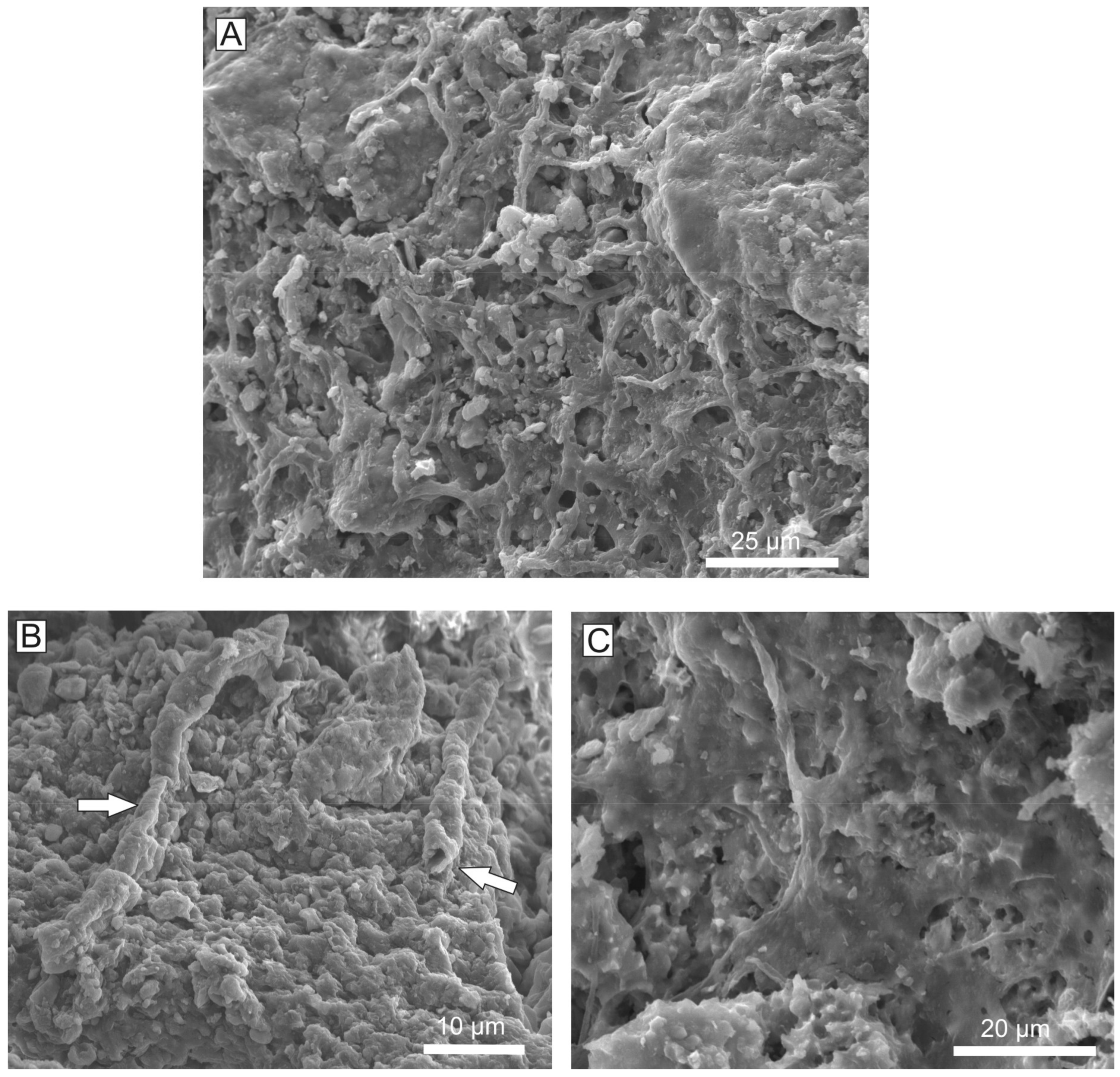 Minerals 09 00088 g015 Minerals 09 00088 g015