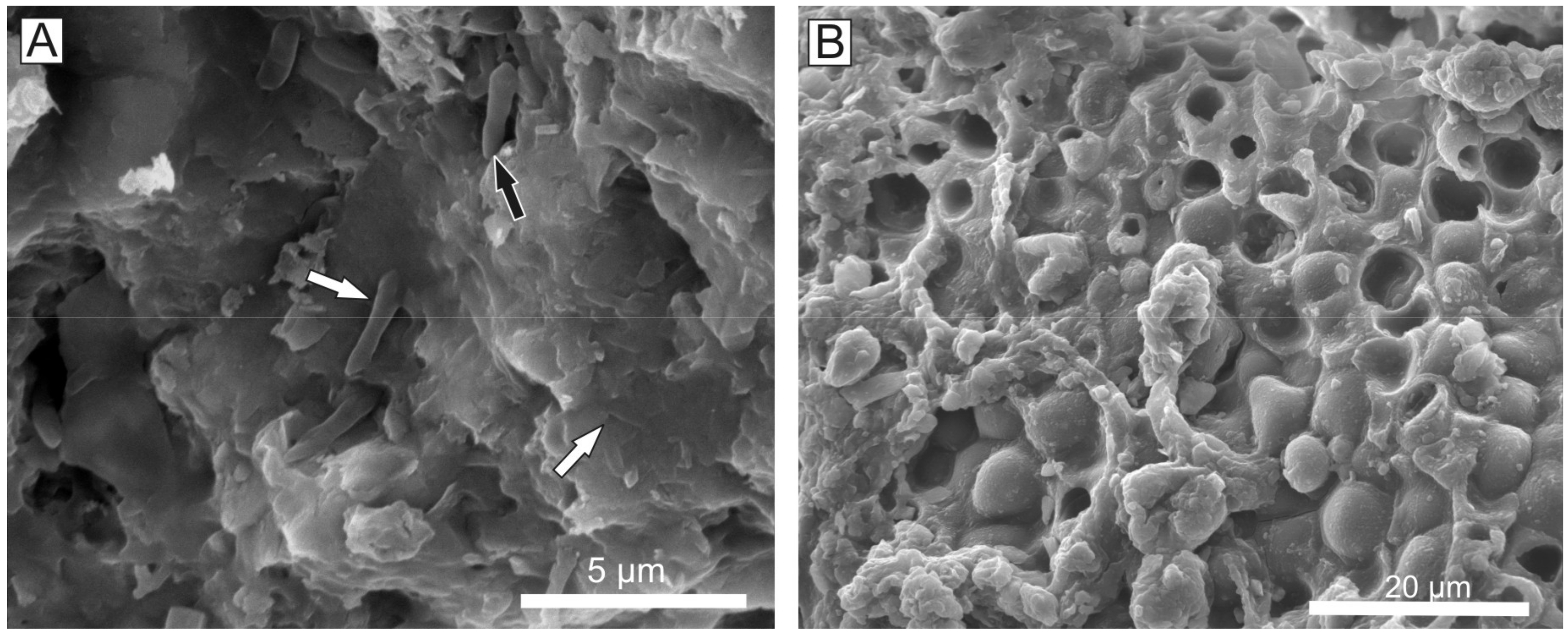 Minerals 09 00088 g016 Minerals 09 00088 g016