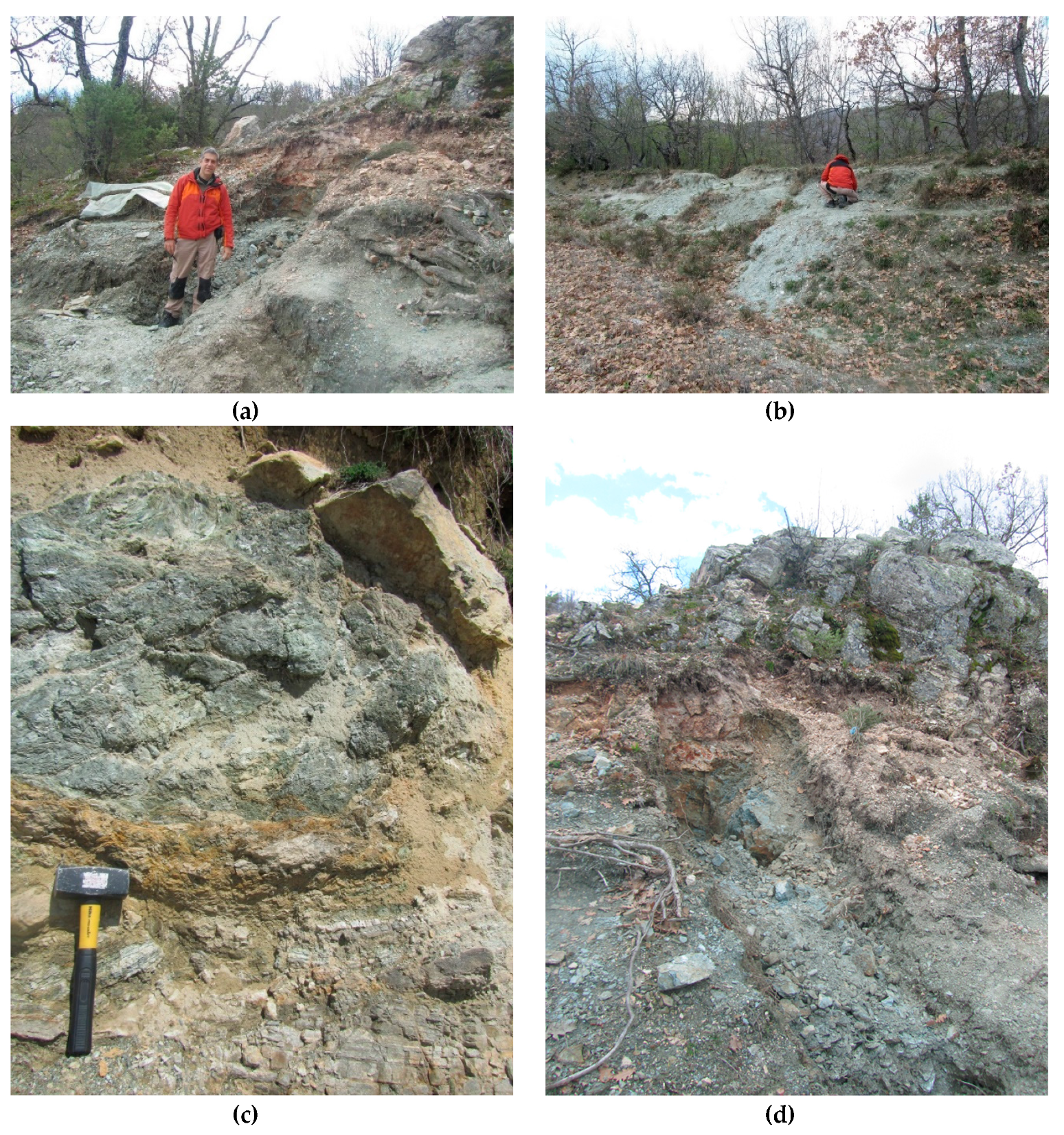 Minerals 09 00091 g002