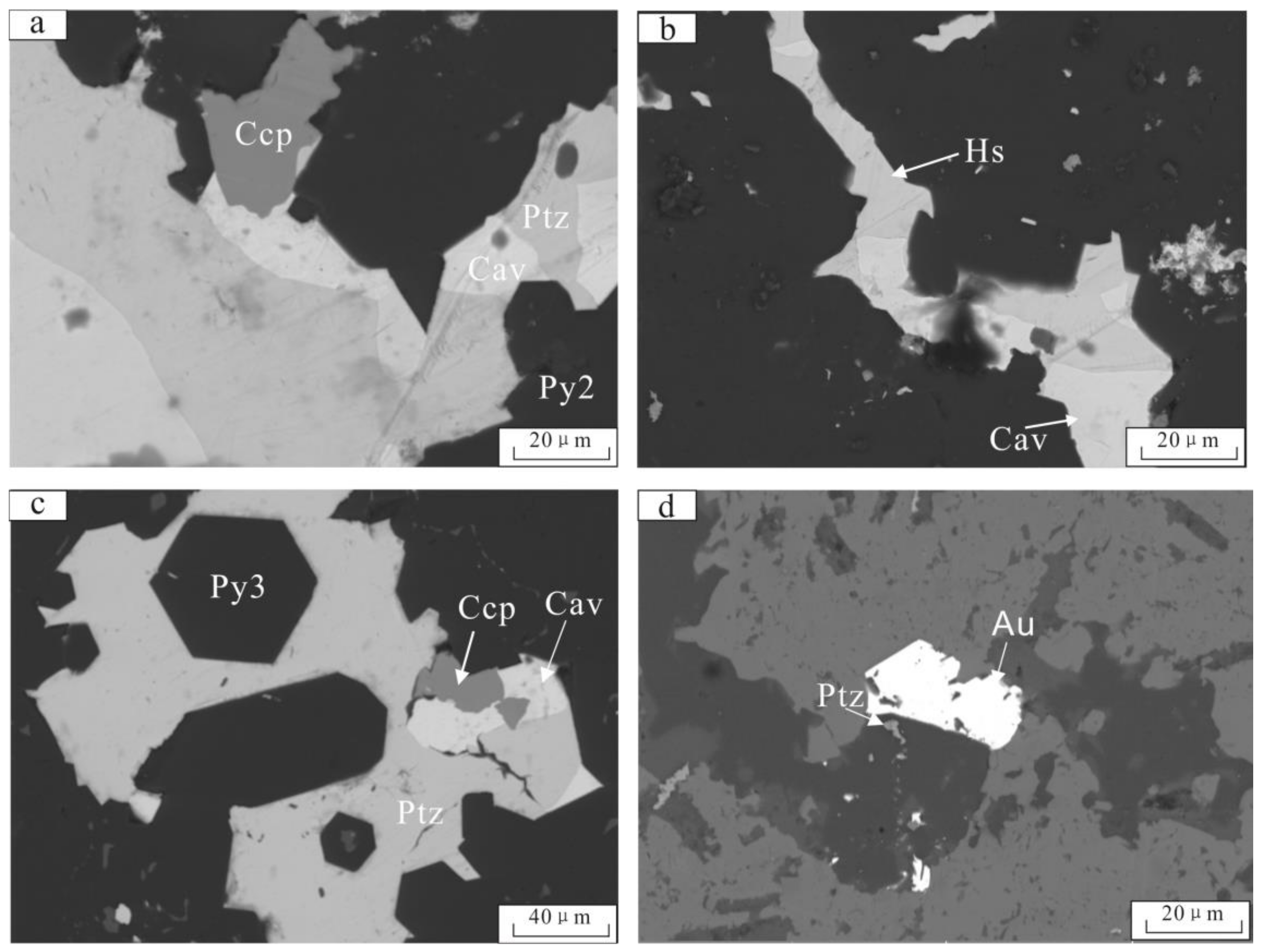 Minerals 09 00129 g010 550