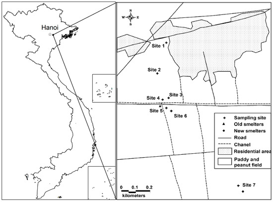 Minerals Free Full Text Accumulation Of Arsenic And Heavy Metals In Native And Cultivated Plant Species In A Lead Recycling Area In Vietnam Html