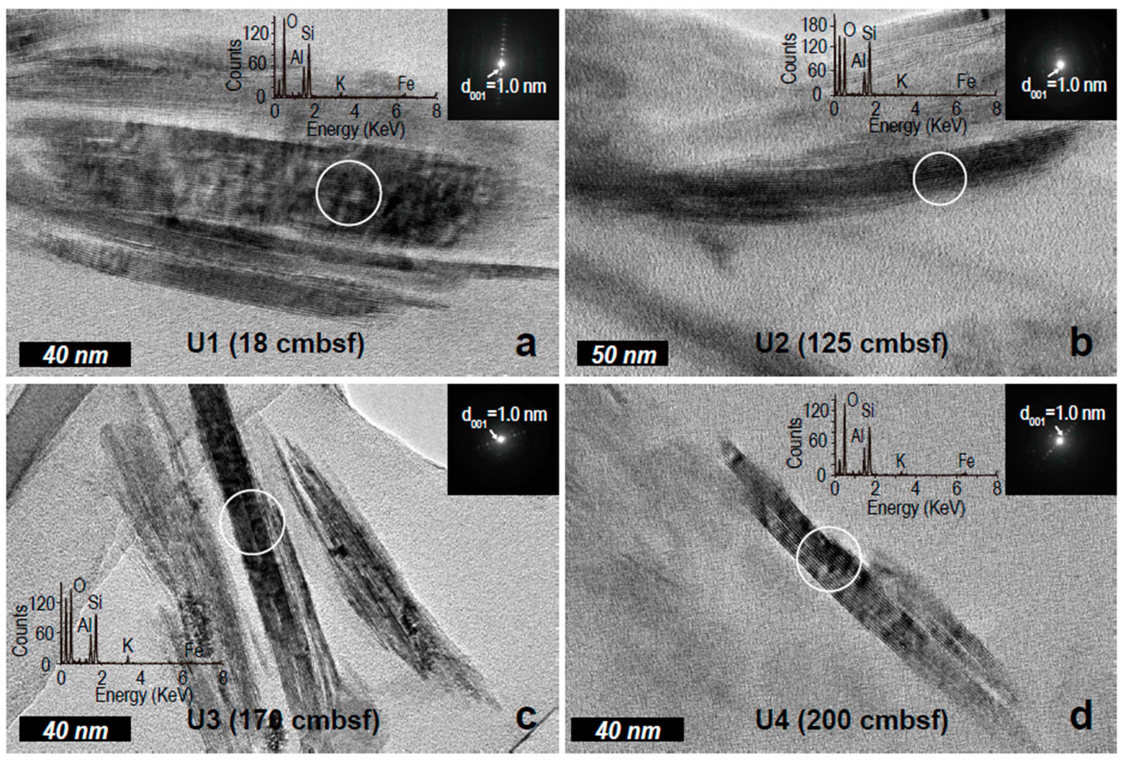 Minerals 09 00153 g004