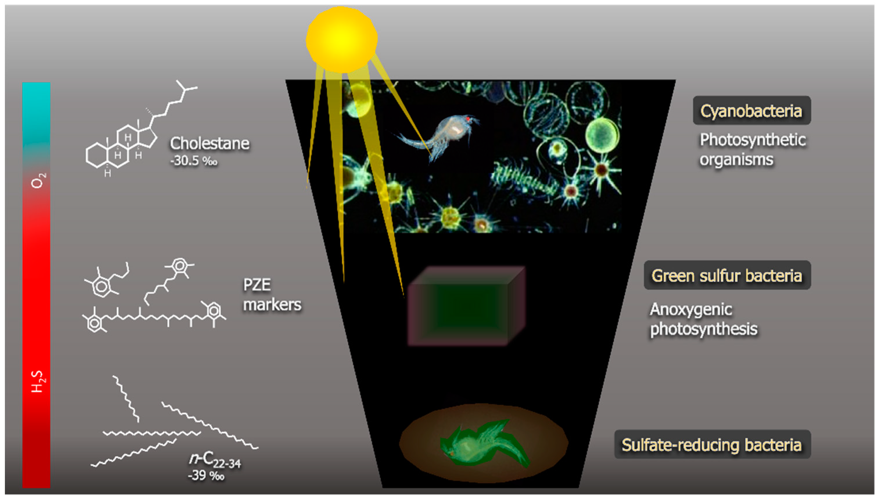 Minerals 09 00158 g003
