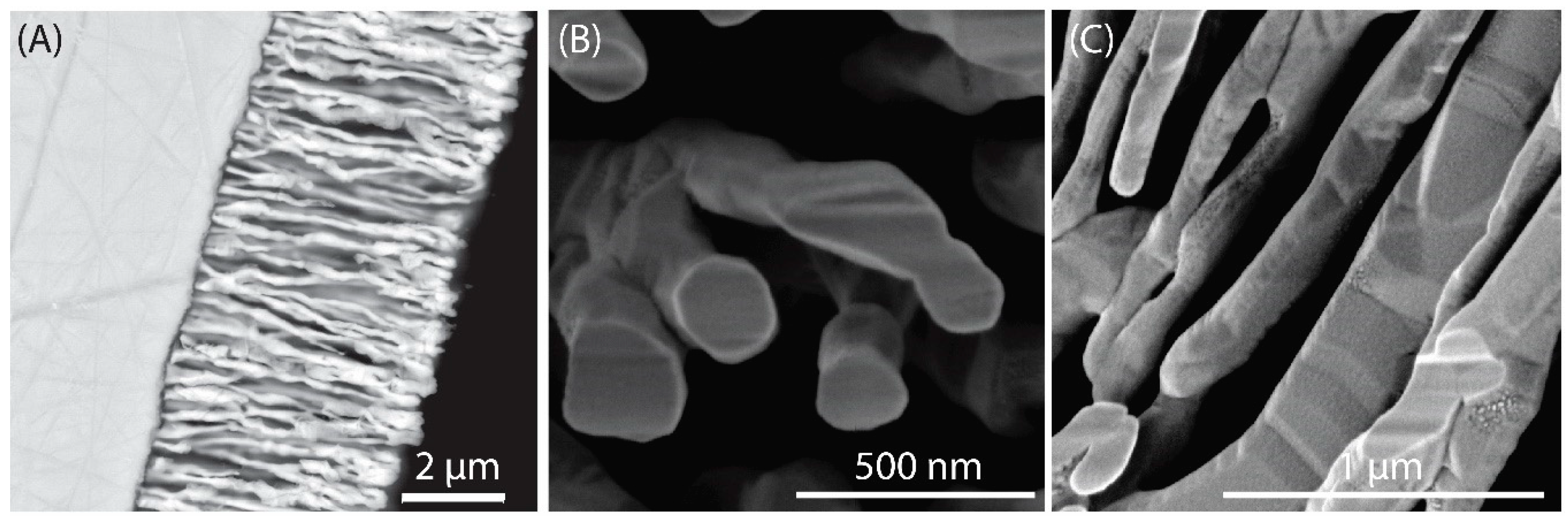 Minerals 09 00167 g006 550