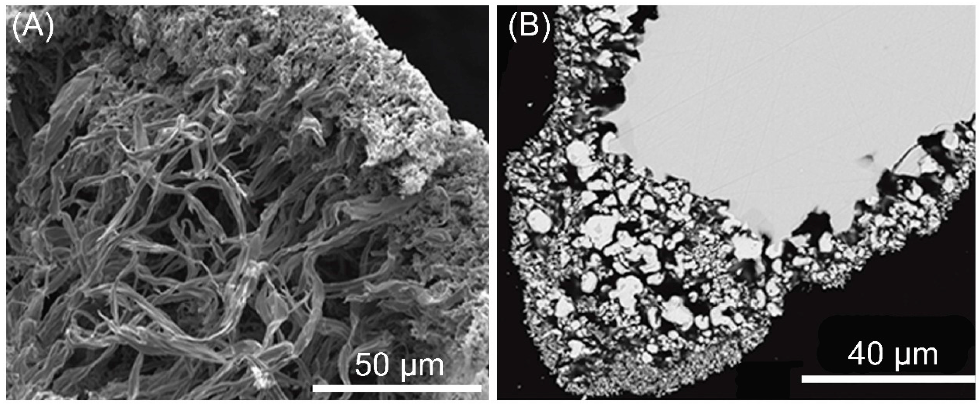 Minerals 09 00167 g008 550